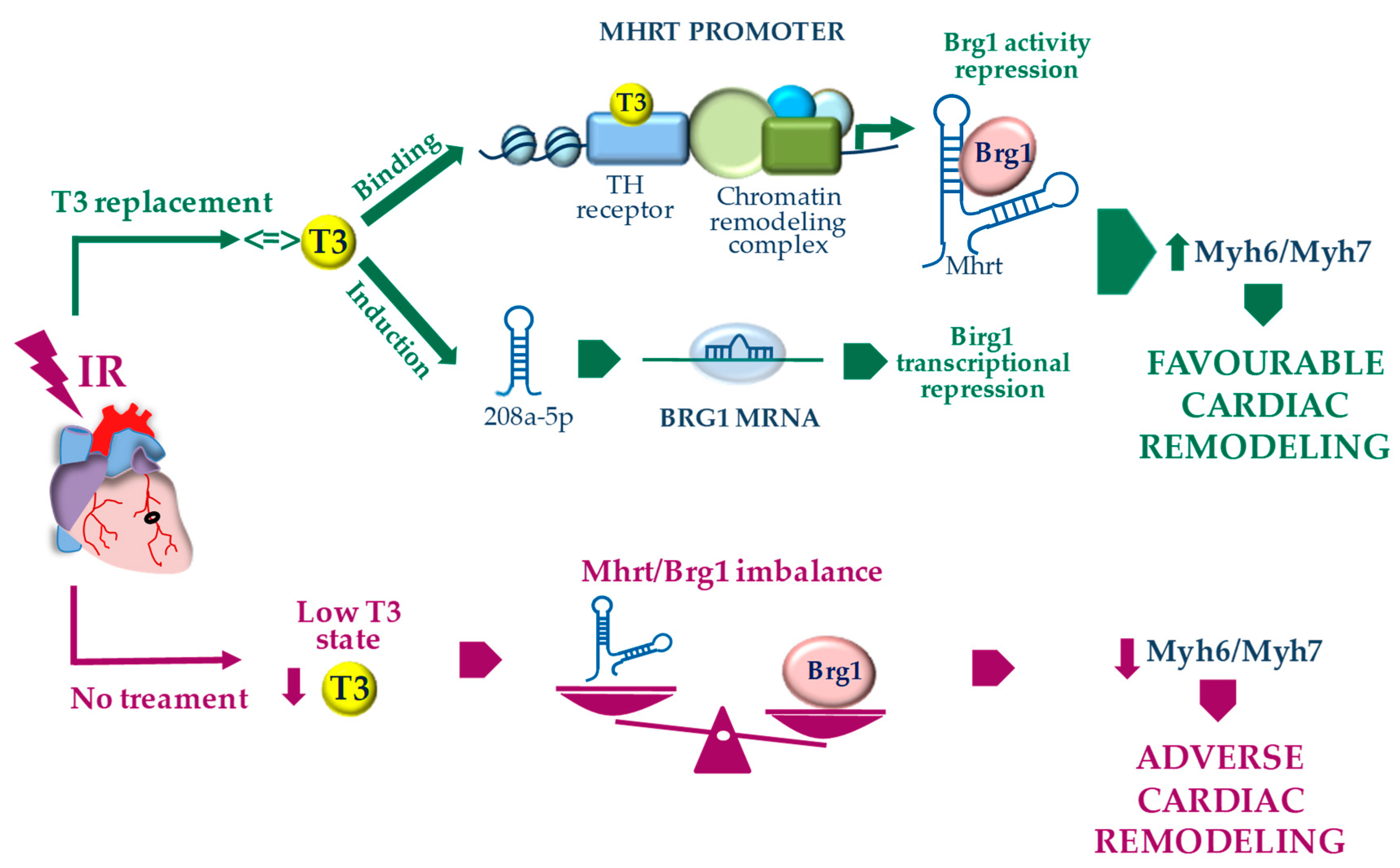 Cells 09 02155 g004 Cells 09 02155 g004
