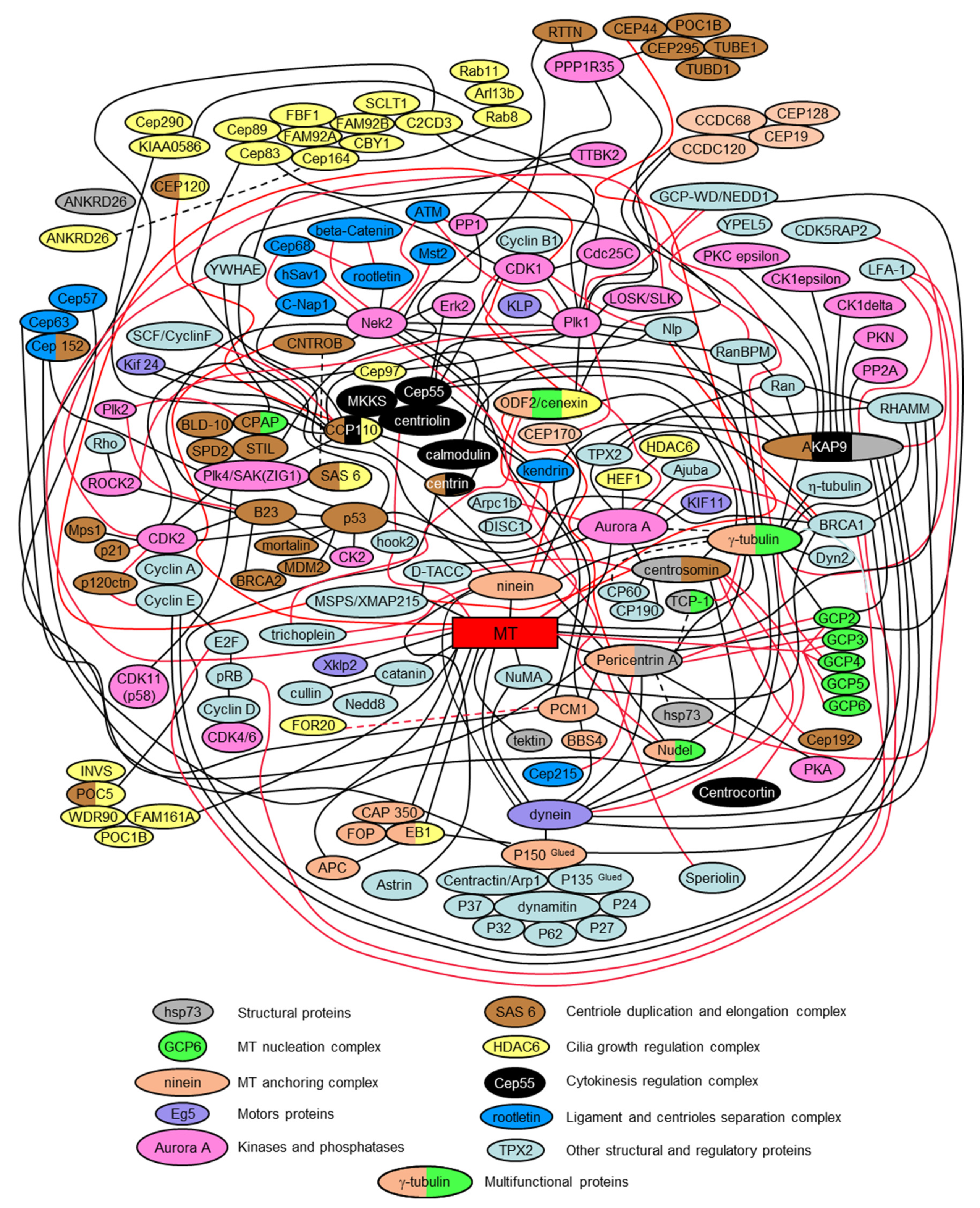 Cells 09 02156 g006 Cells 09 02156 g006