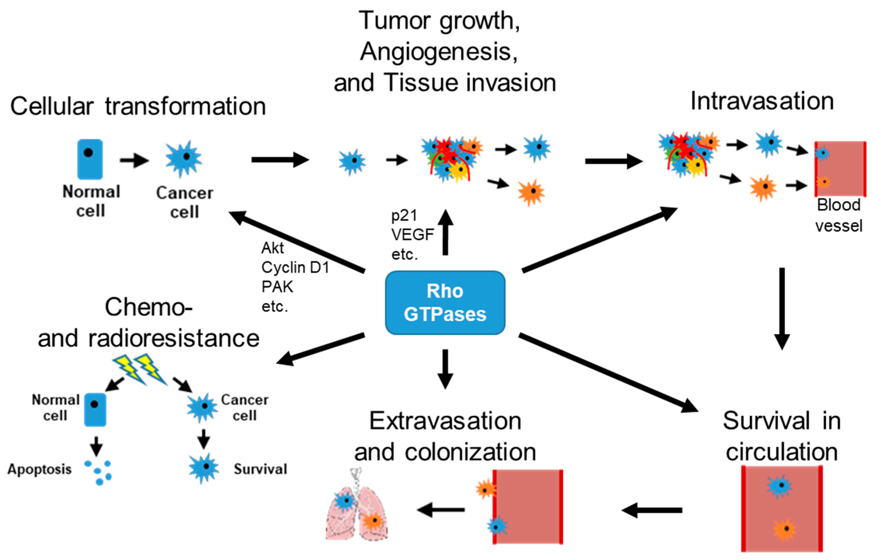 Cells 09 02167 g003 Cells 09 02167 g003