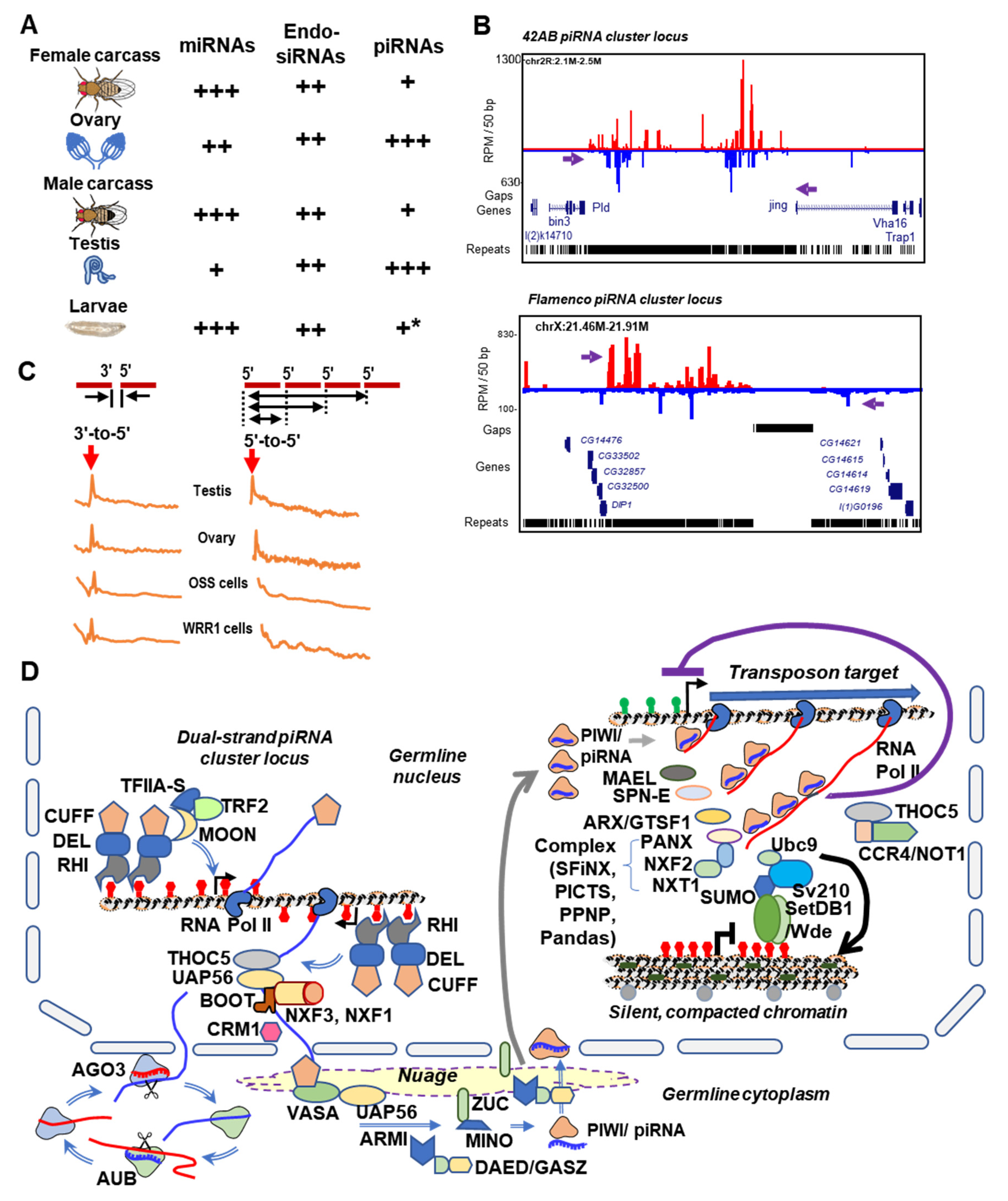 Cells 09 02180 g002 Cells 09 02180 g002