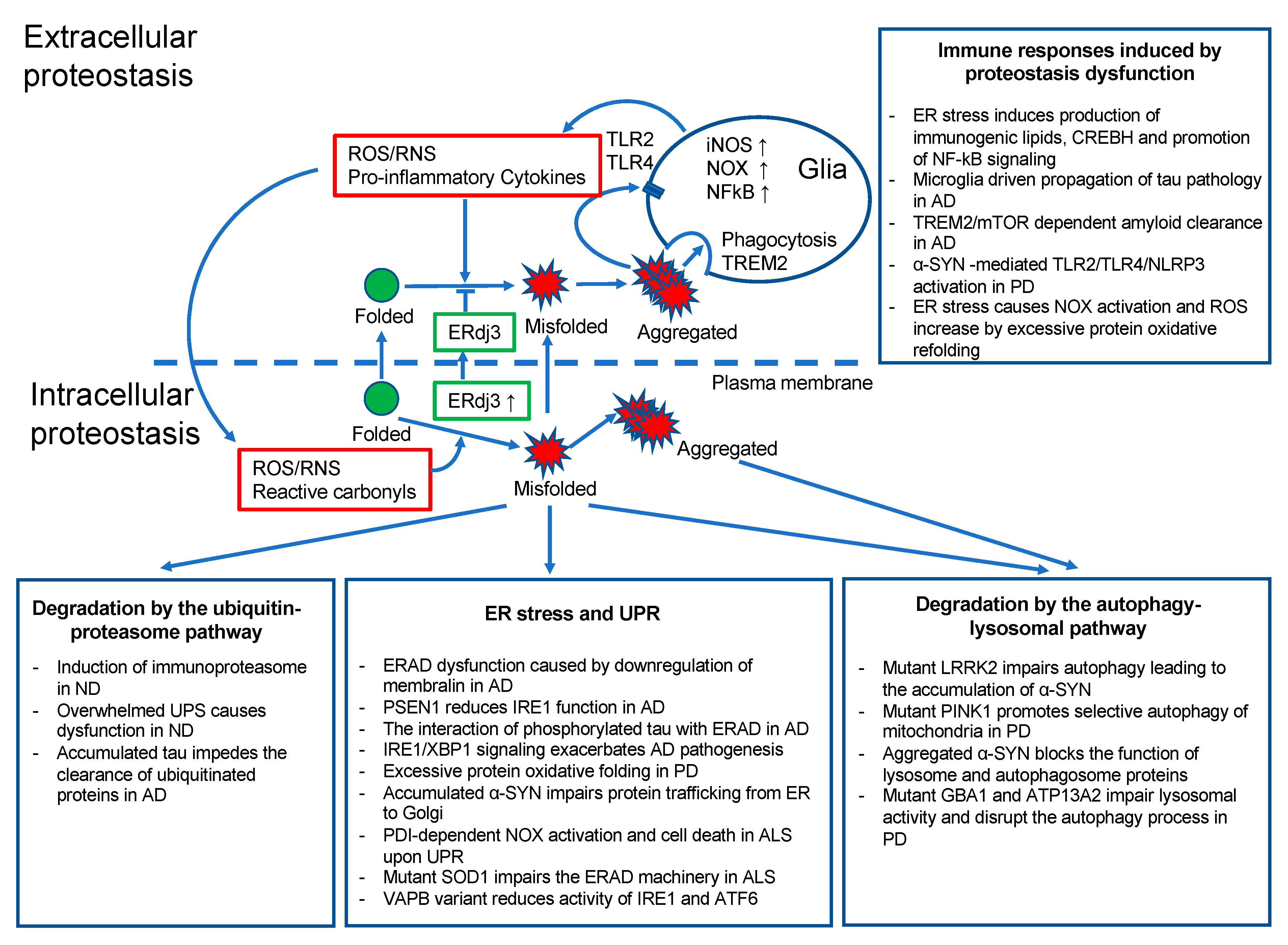 Cells 09 02183 g001 Cells 09 02183 g001