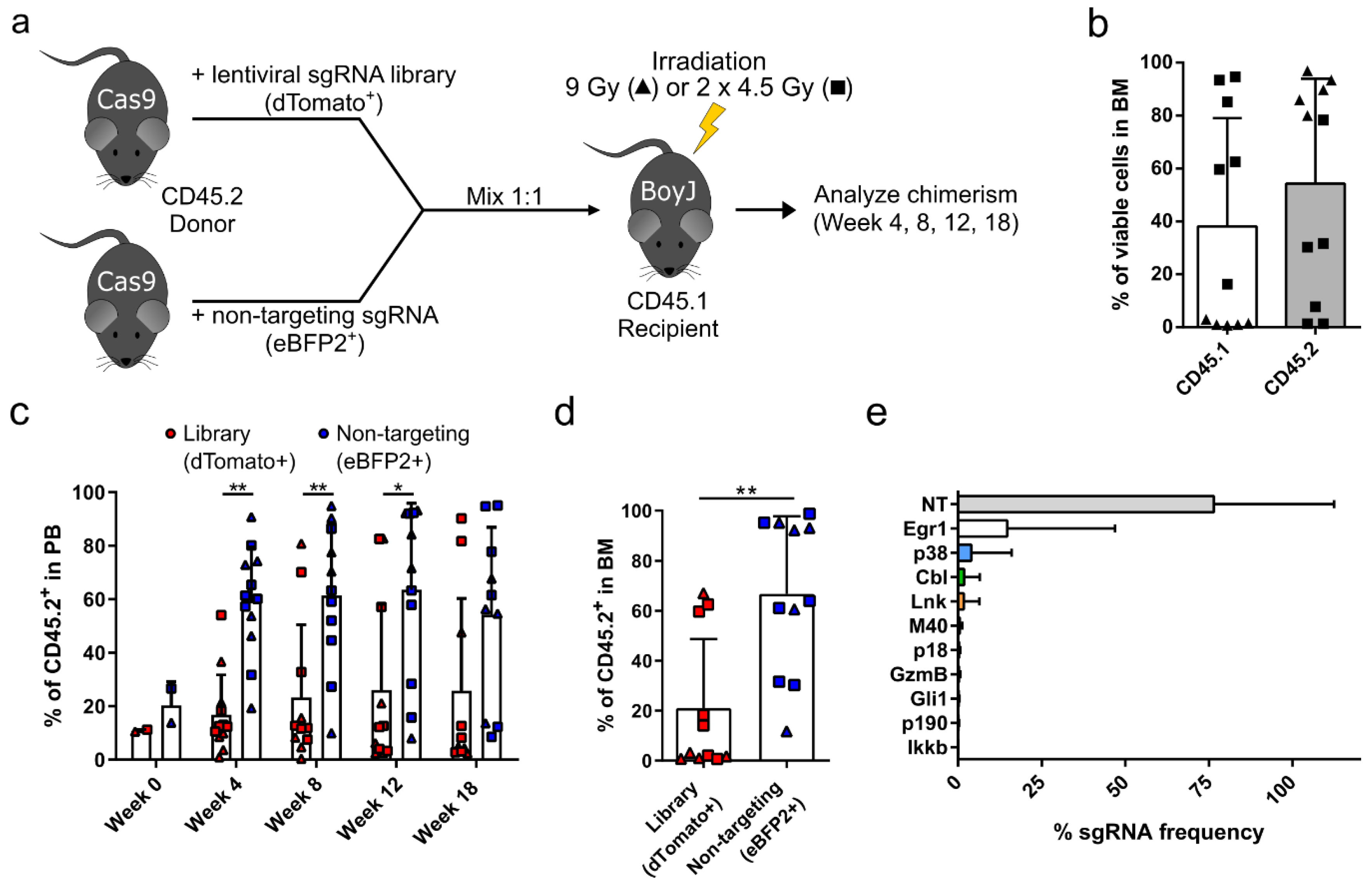 Cells 09 02194 g001 Cells 09 02194 g001