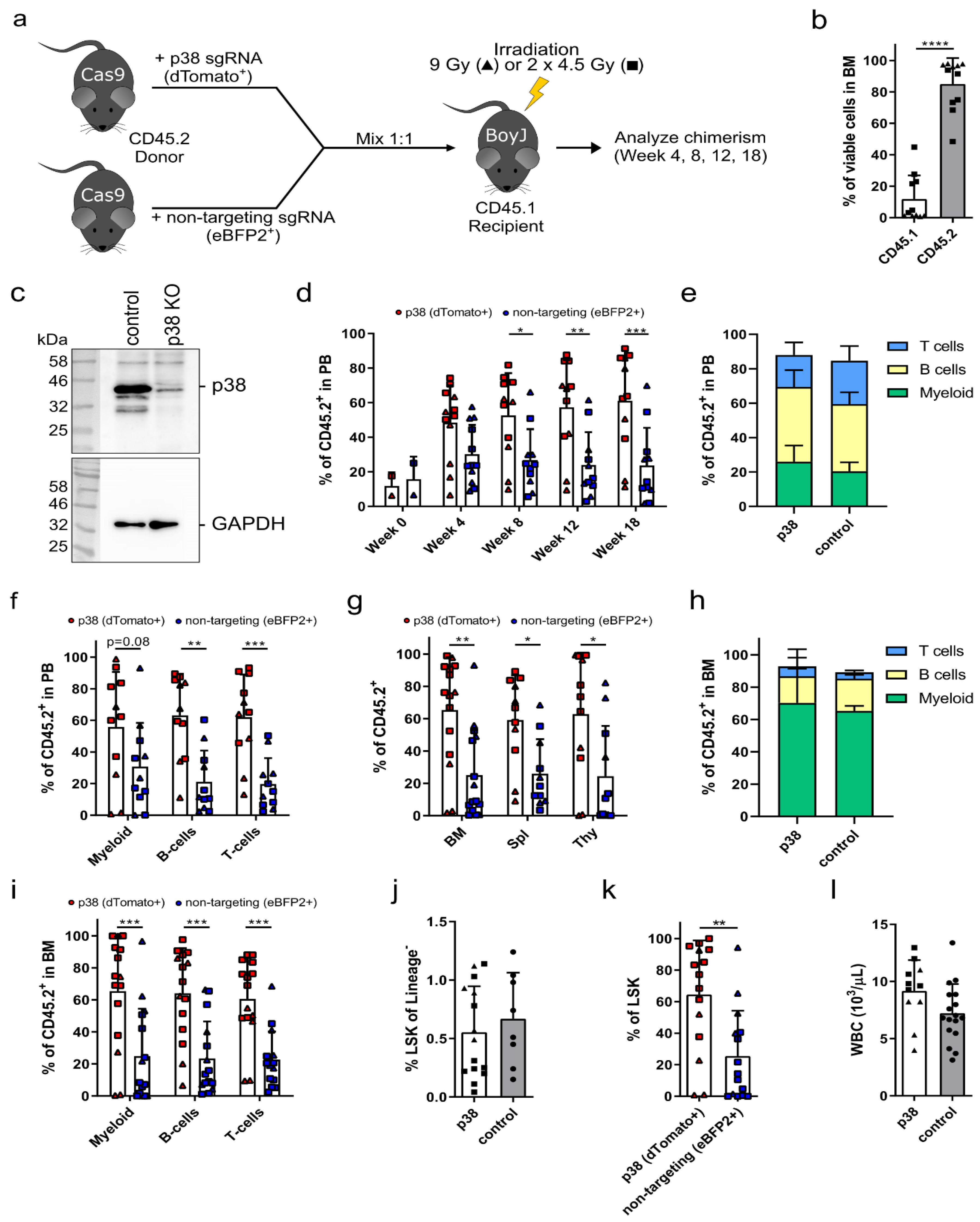 Cells 09 02194 g002 Cells 09 02194 g002