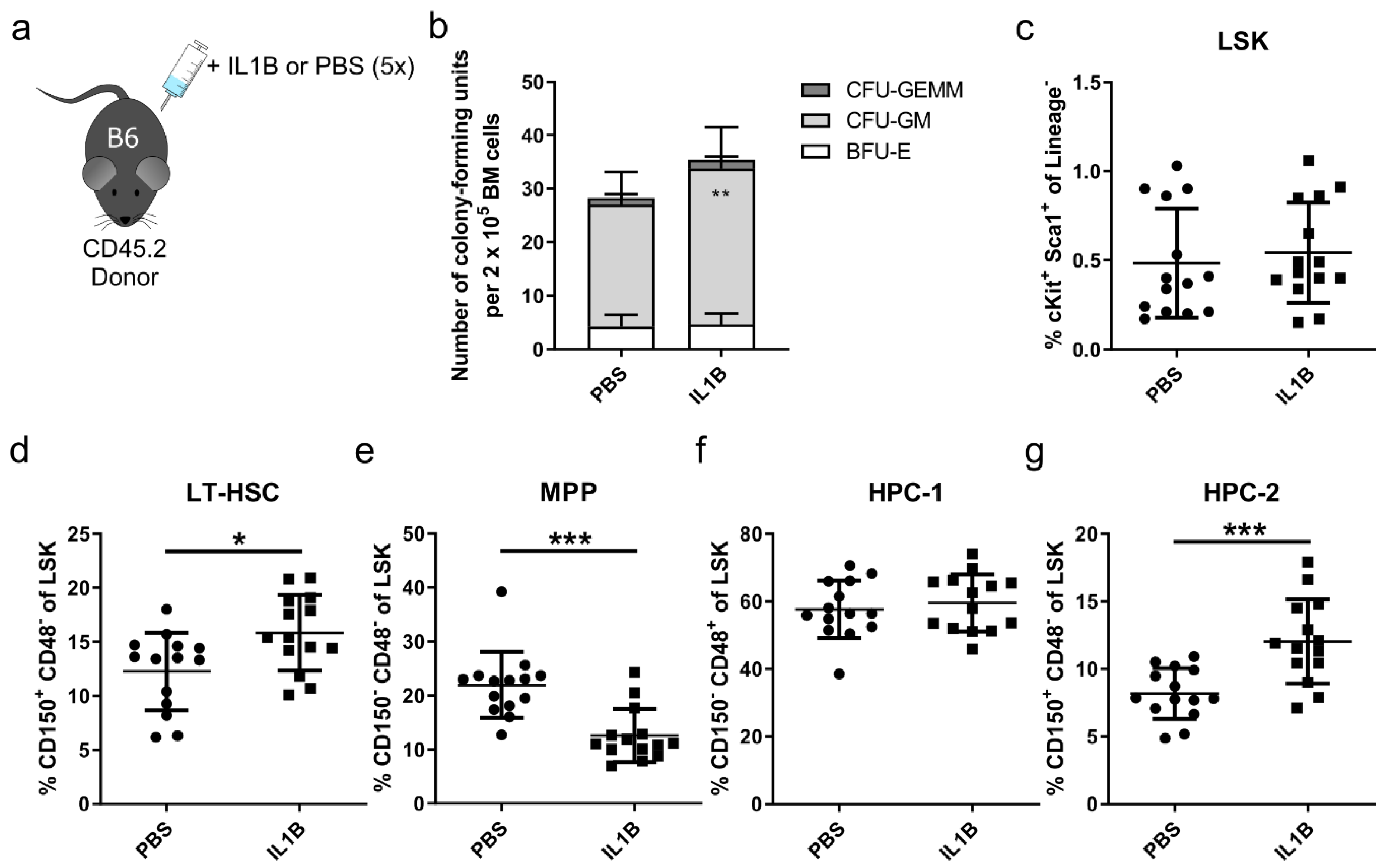 Cells 09 02194 g003 Cells 09 02194 g003