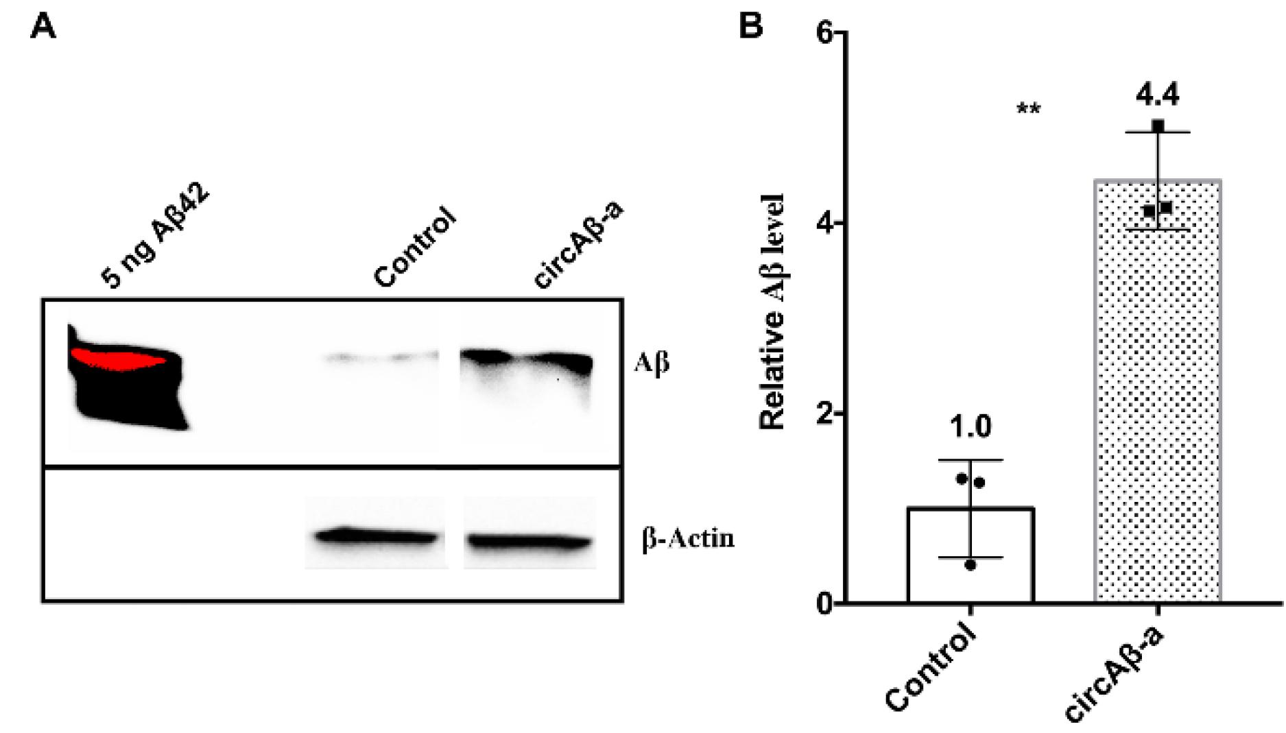 Cells 09 02196 g004 Cells 09 02196 g004