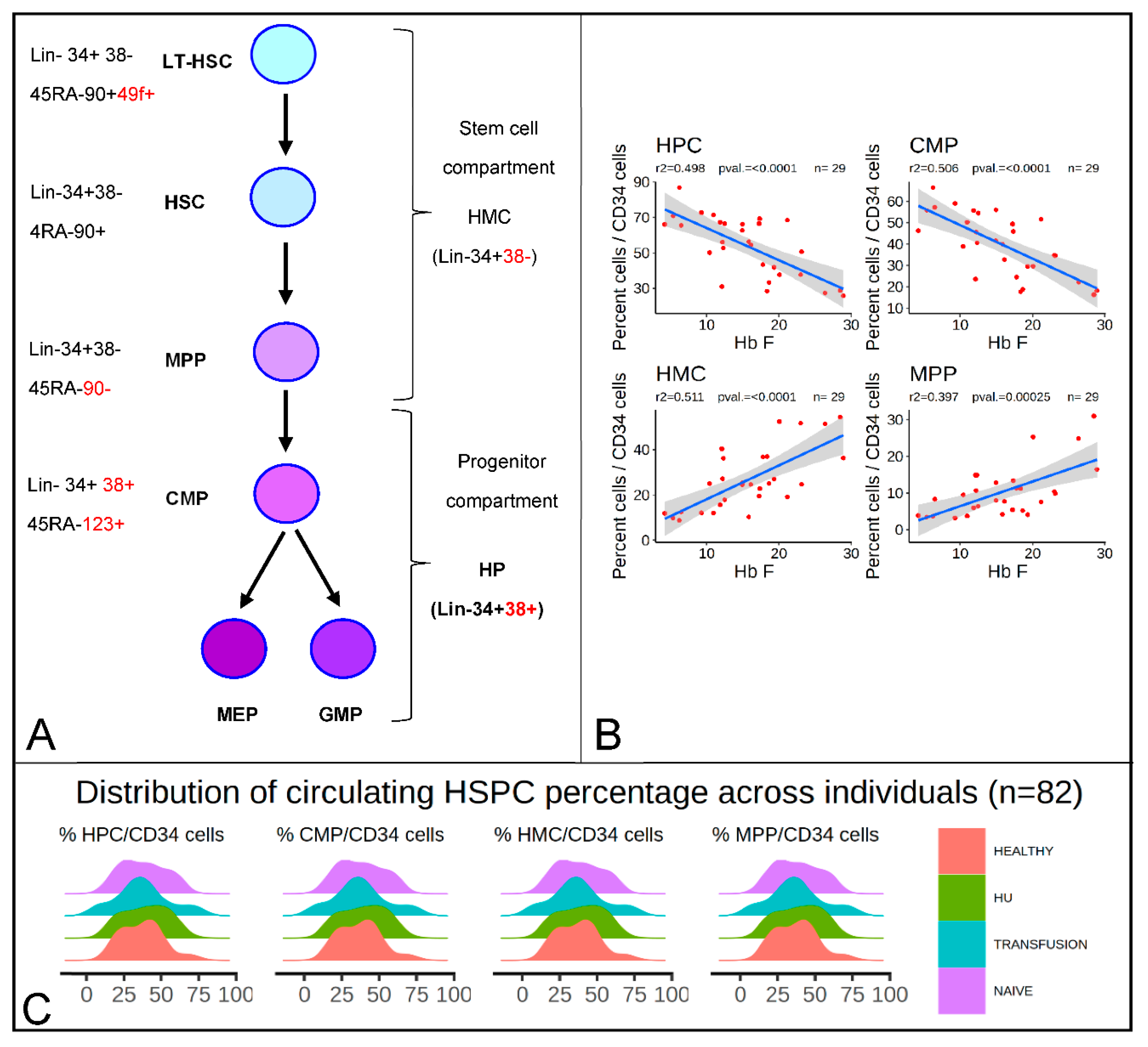 Cells 09 02199 g001 Cells 09 02199 g001