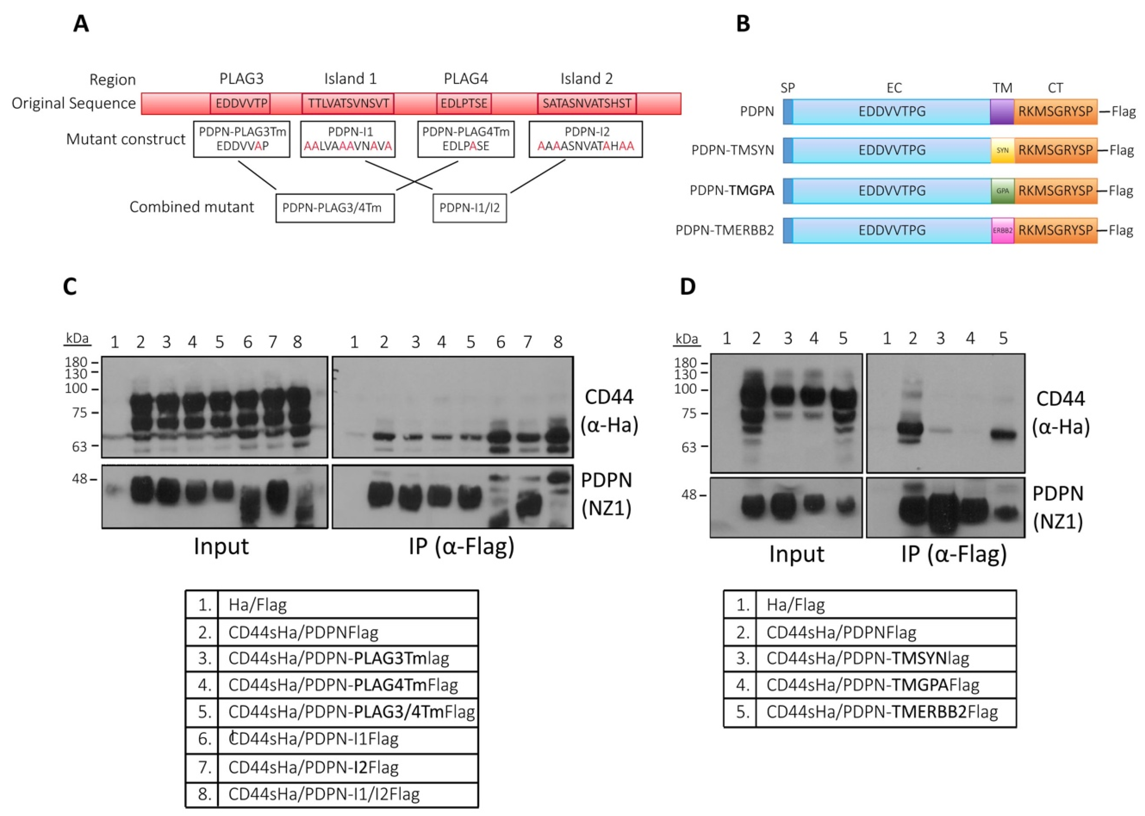 Cells 09 02200 g008 Cells 09 02200 g008