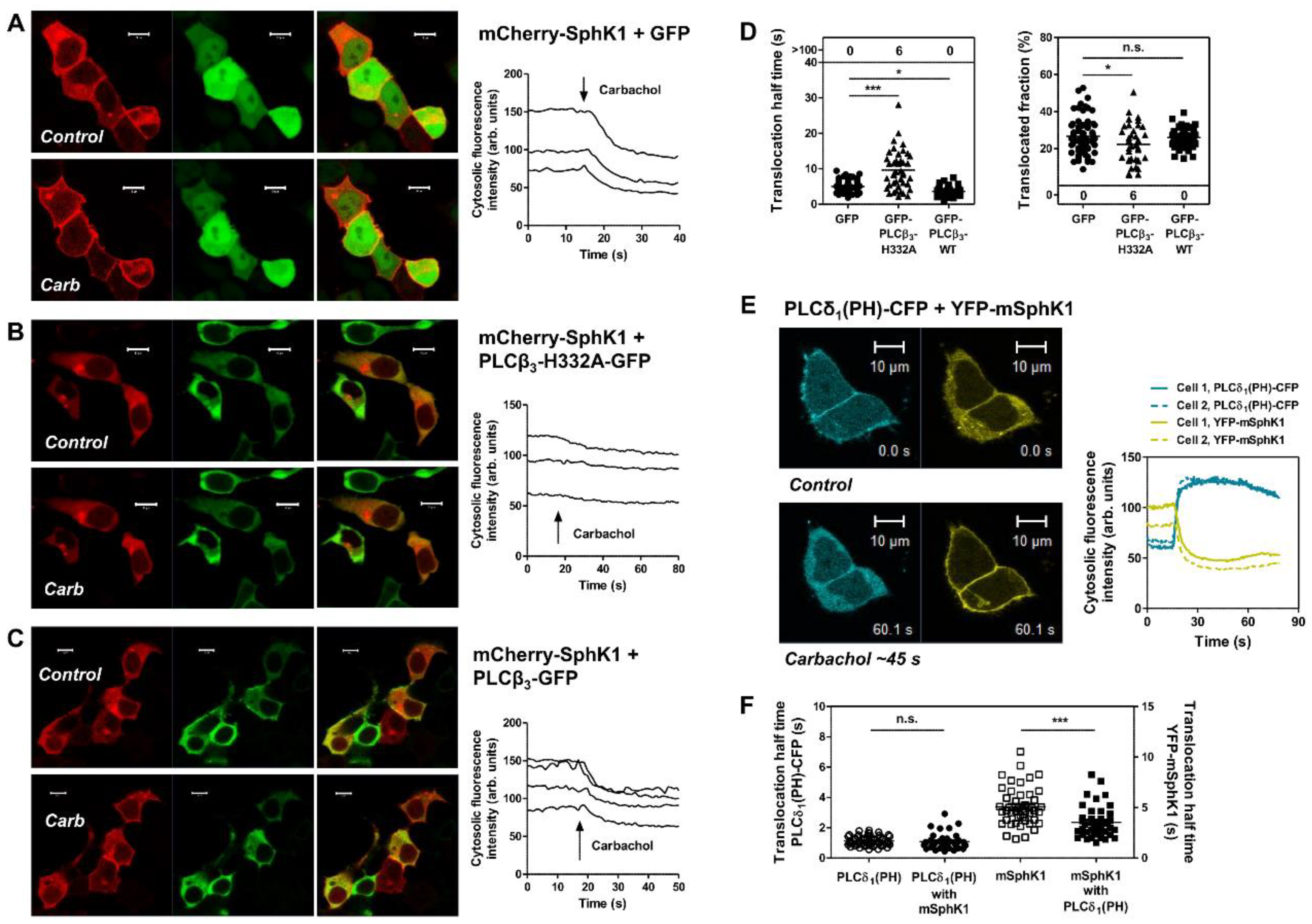 Cells 09 02201 g002 Cells 09 02201 g002