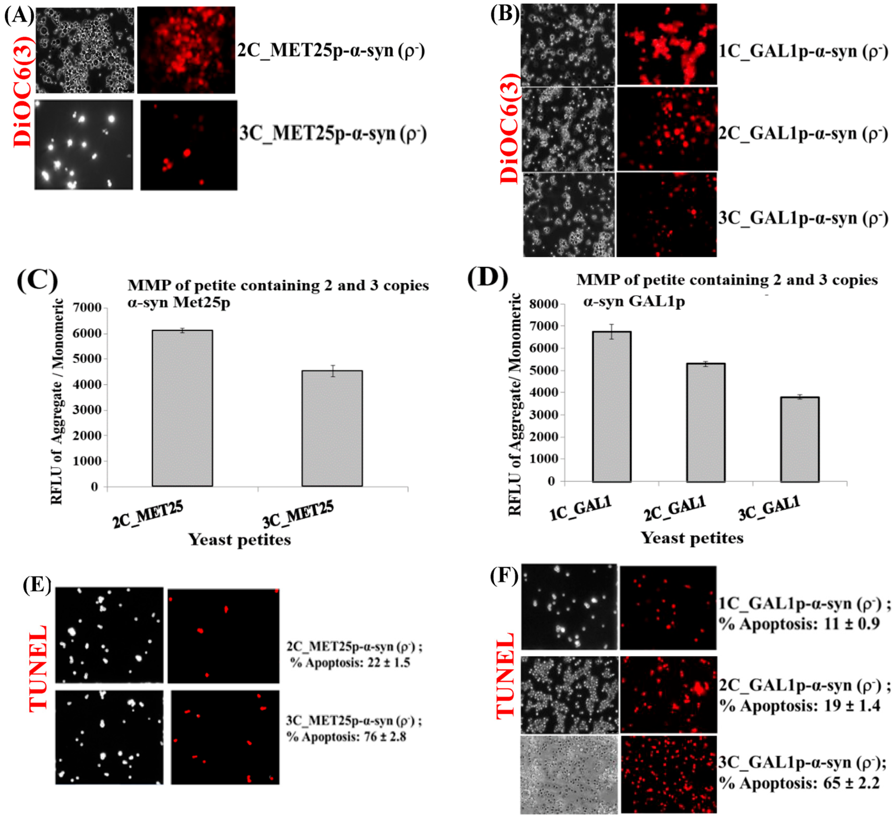 Cells 09 02203 g003 Cells 09 02203 g003