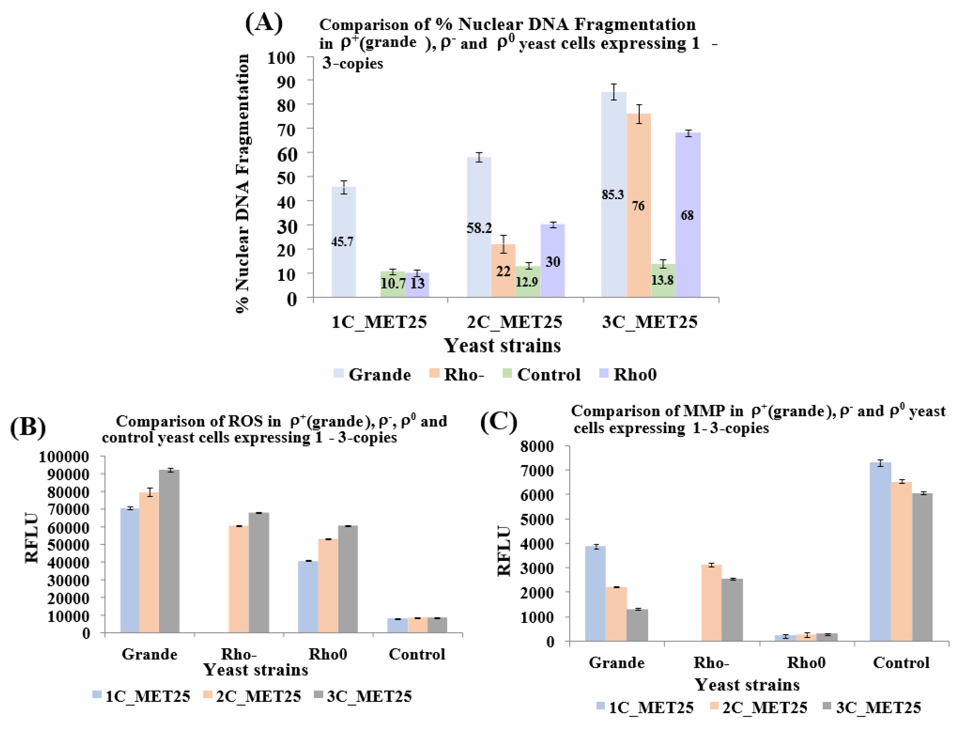 Cells 09 02203 g006 Cells 09 02203 g006