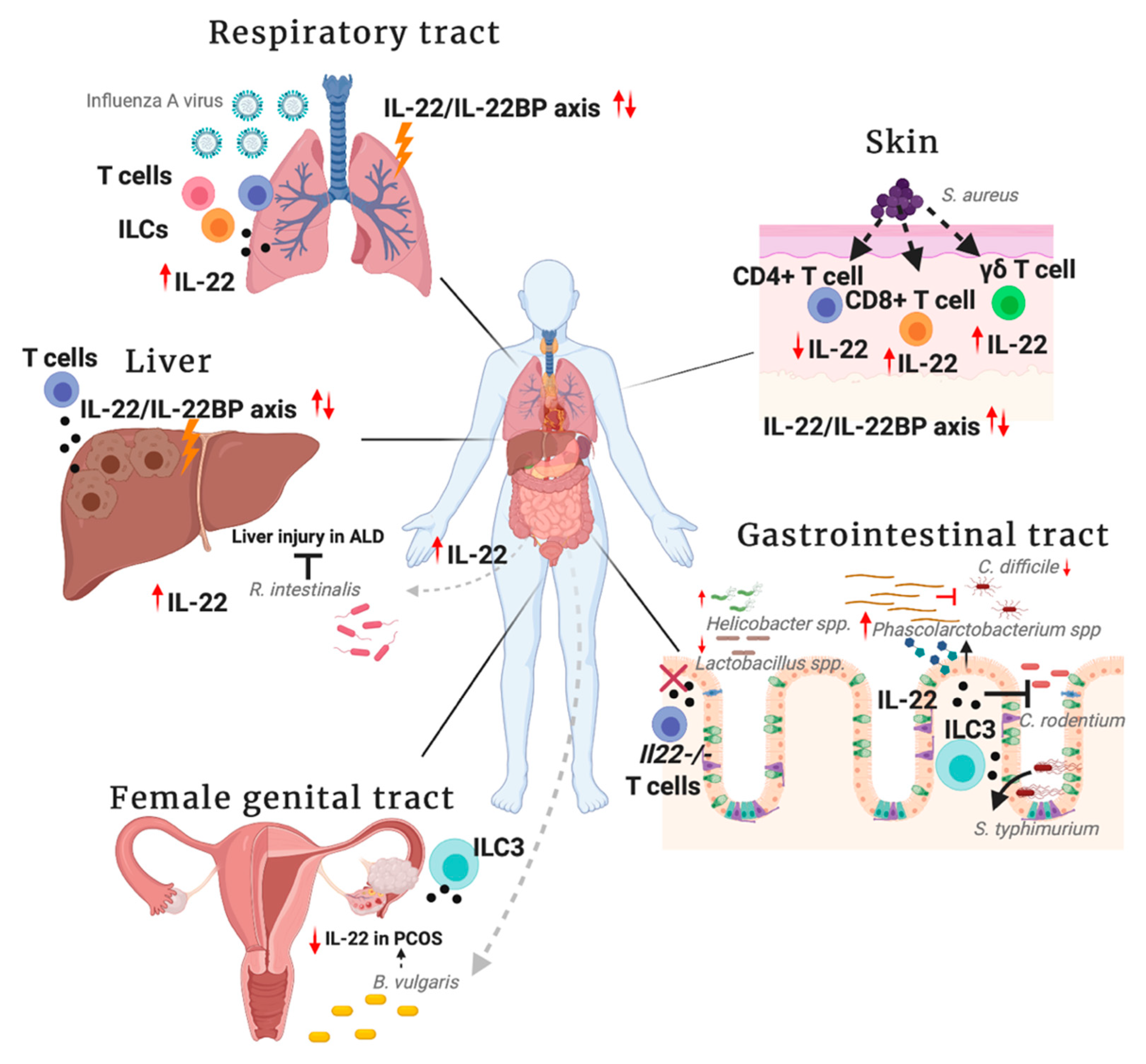 Cells 09 02205 g002 Cells 09 02205 g002