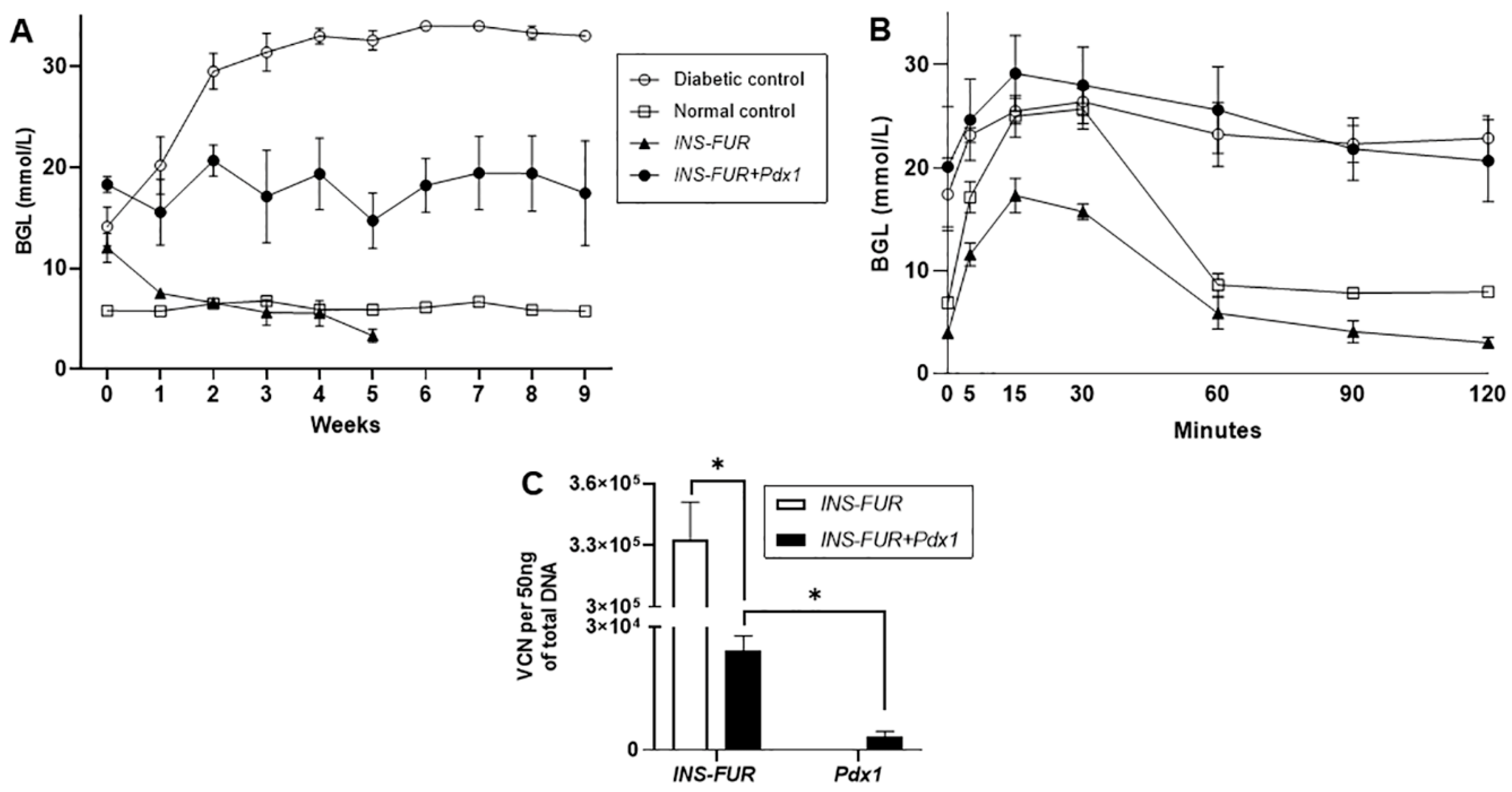 Cells 09 02227 g002 Cells 09 02227 g002