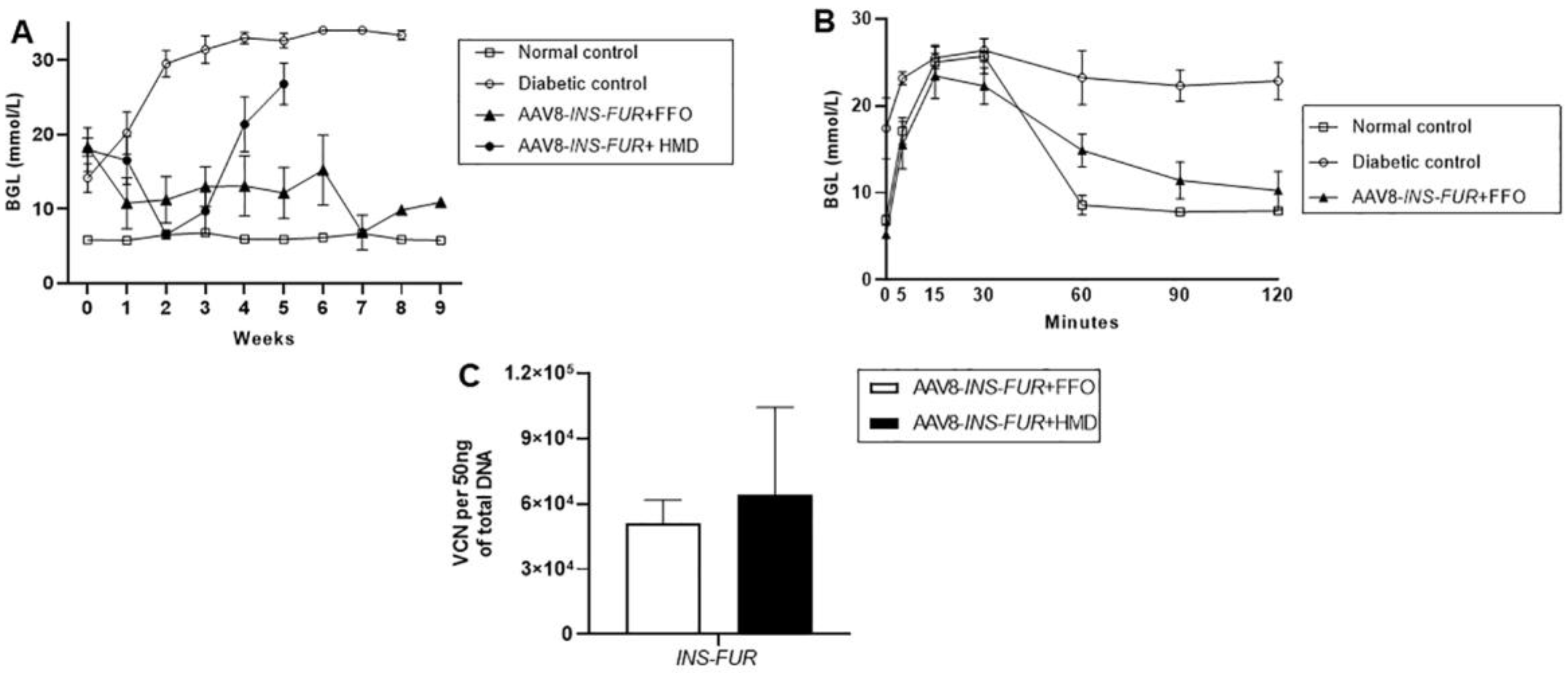 Cells 09 02227 g003 Cells 09 02227 g003