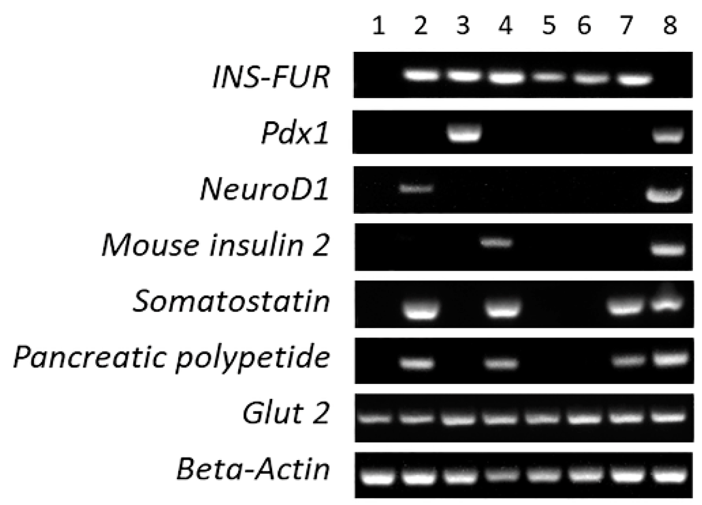 Cells 09 02227 g006 Cells 09 02227 g006