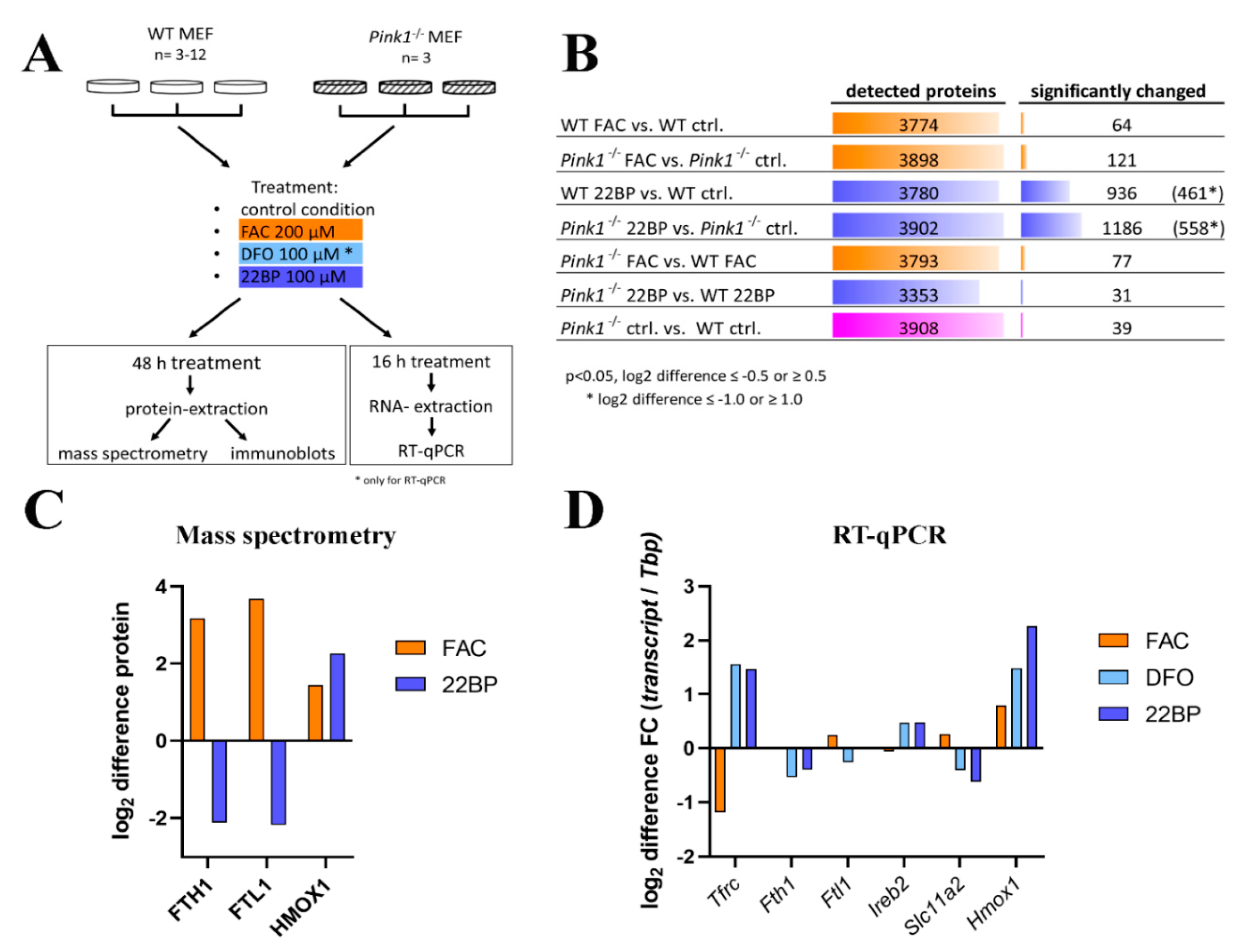 Cells 09 02229 g001 Cells 09 02229 g001
