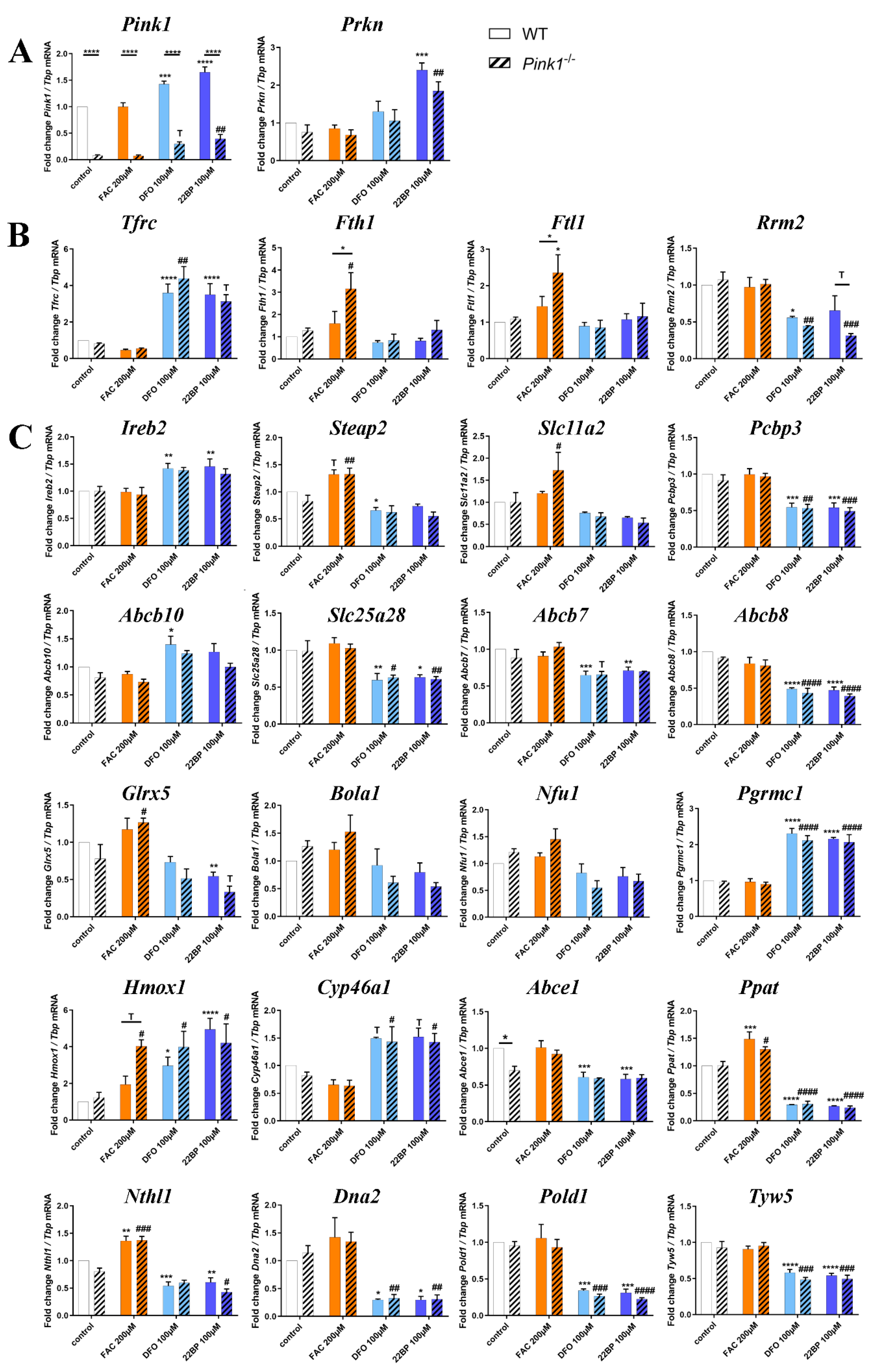Cells 09 02229 g003 Cells 09 02229 g003