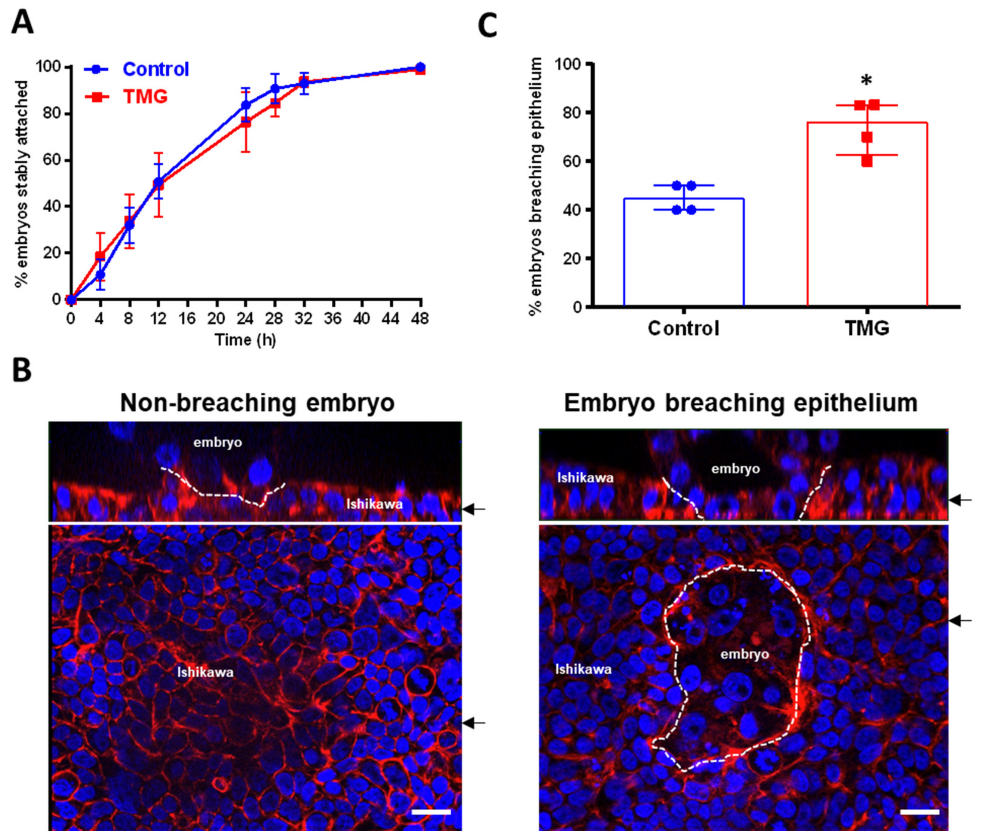 Cells 09 02246 g002 Cells 09 02246 g002