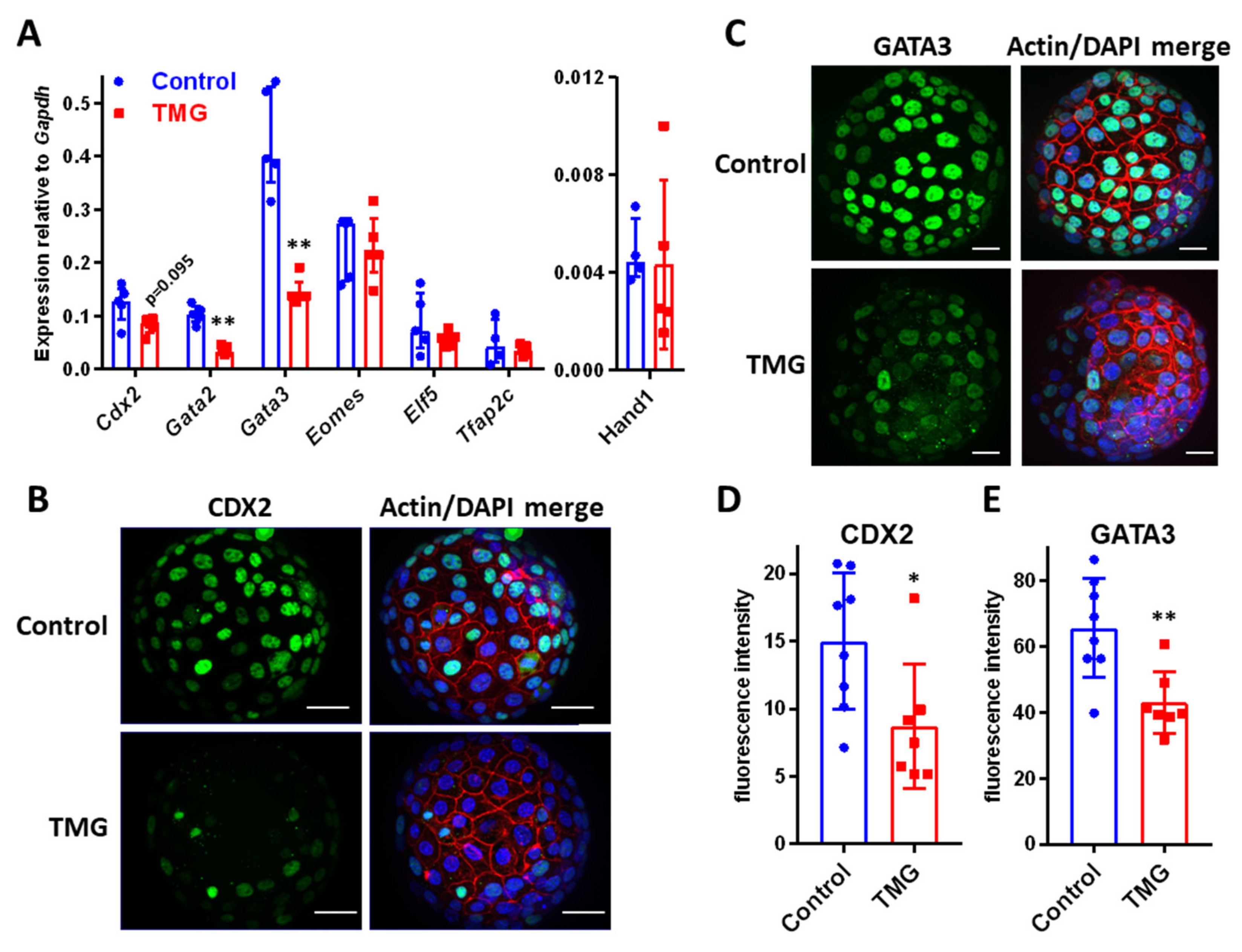 Cells 09 02246 g003 Cells 09 02246 g003