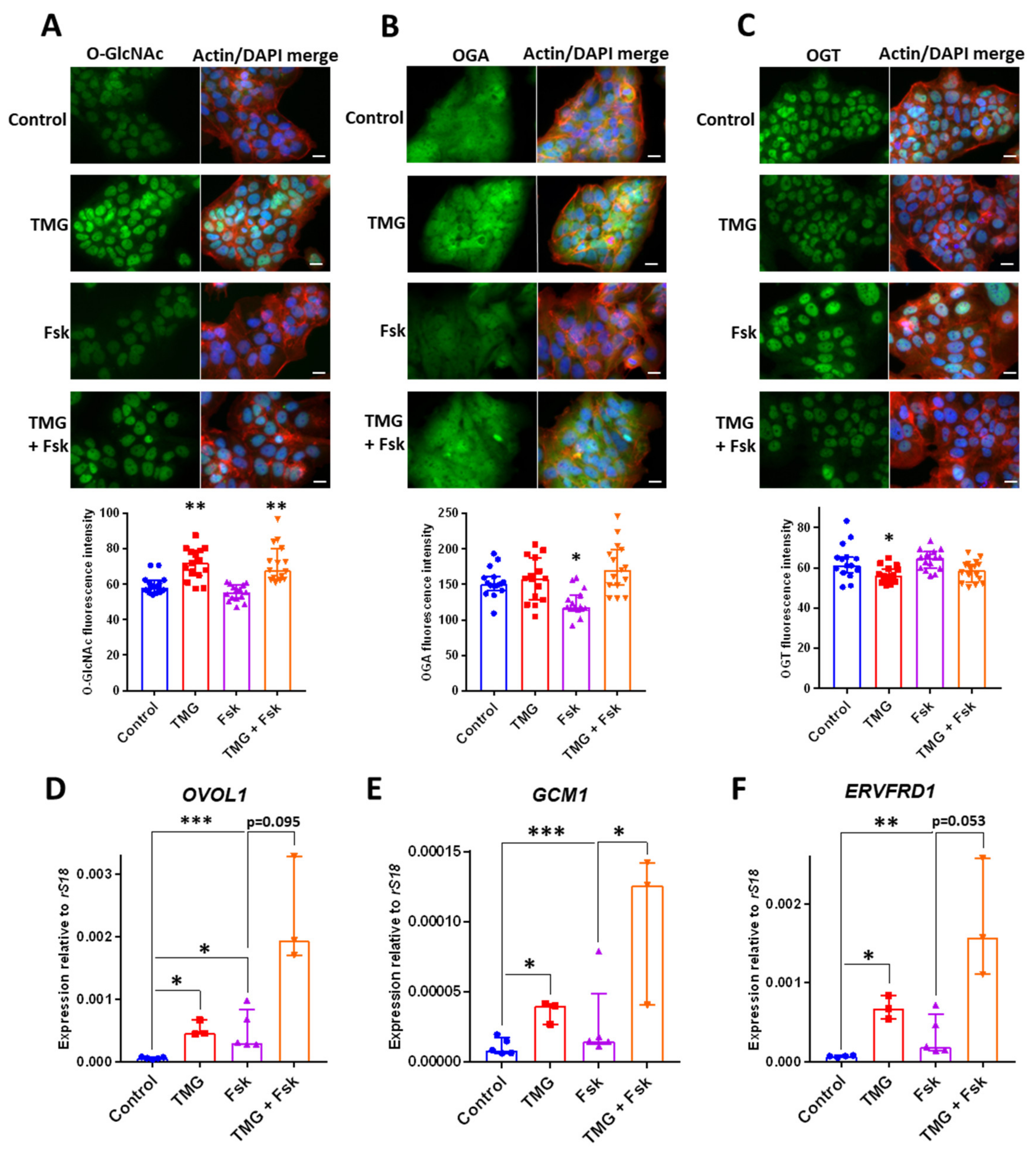 Cells 09 02246 g004 Cells 09 02246 g004