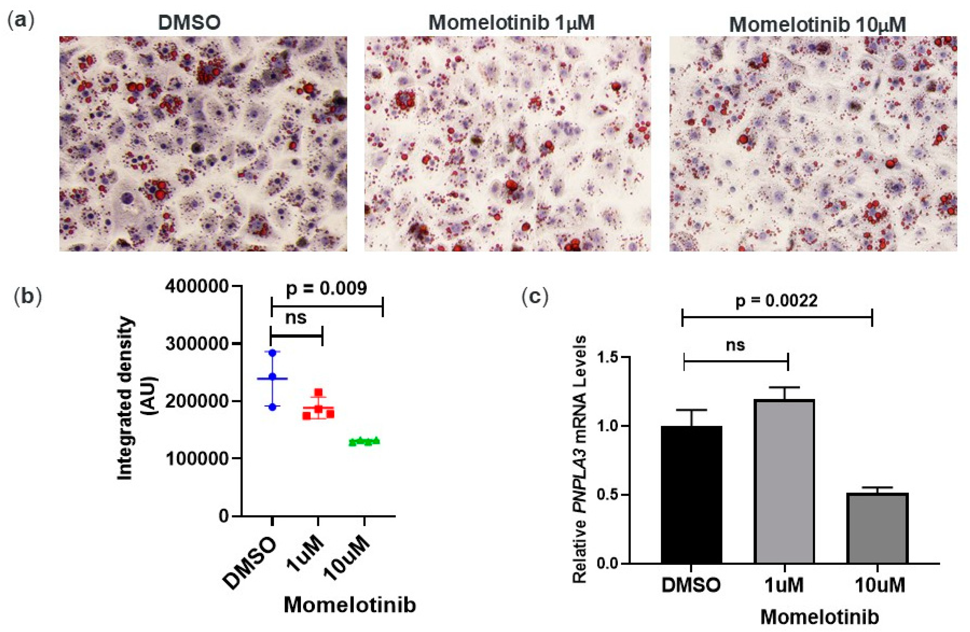 Cells 09 02247 g002 Cells 09 02247 g002
