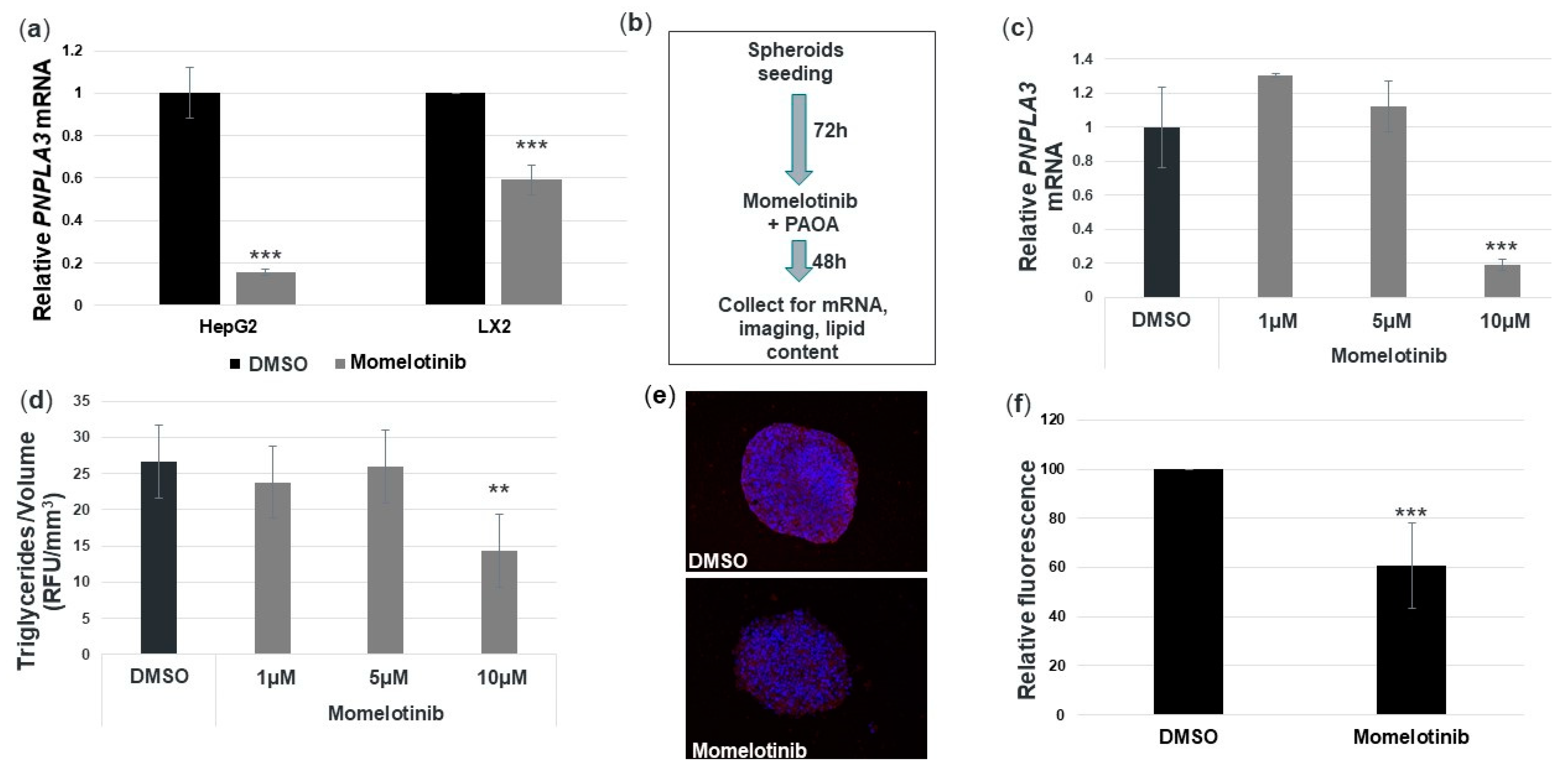 Cells 09 02247 g004 Cells 09 02247 g004