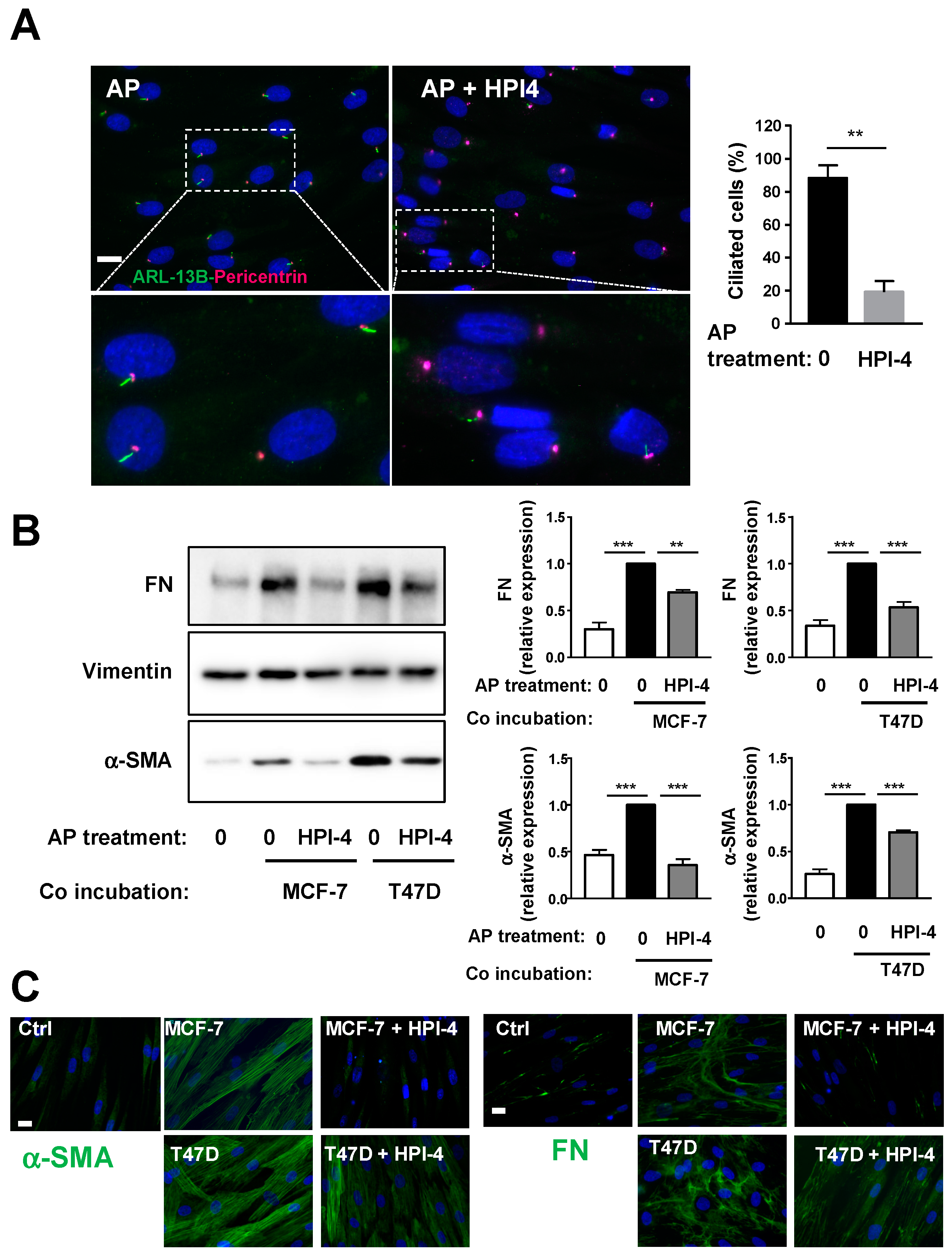 Cells 09 02251 g002