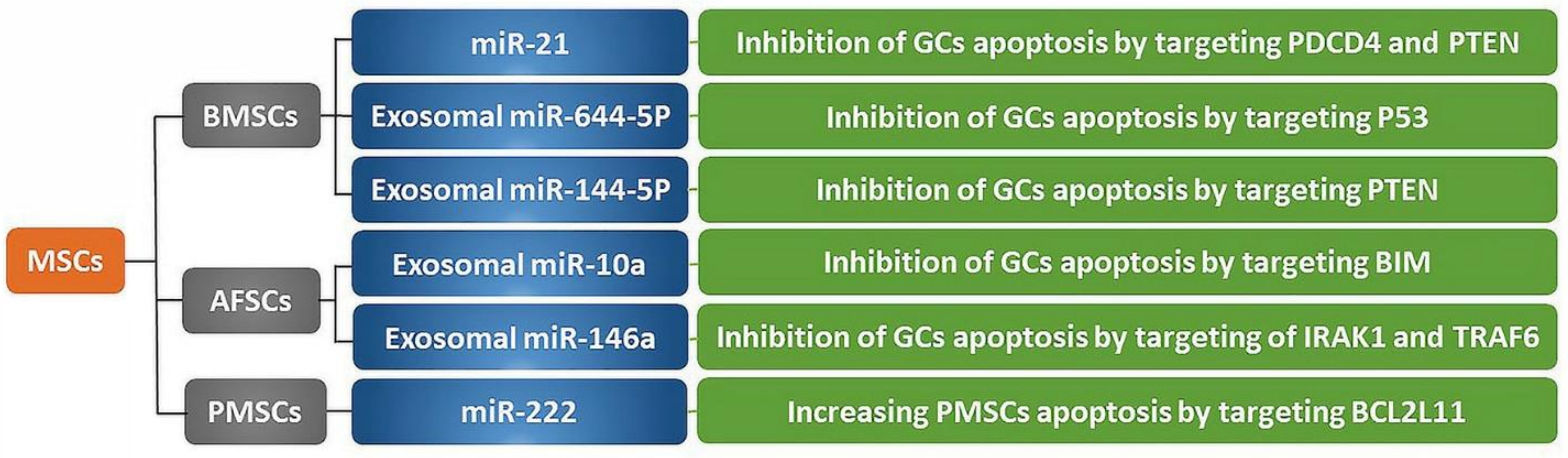 Cells 09 02253 g002 Cells 09 02253 g002