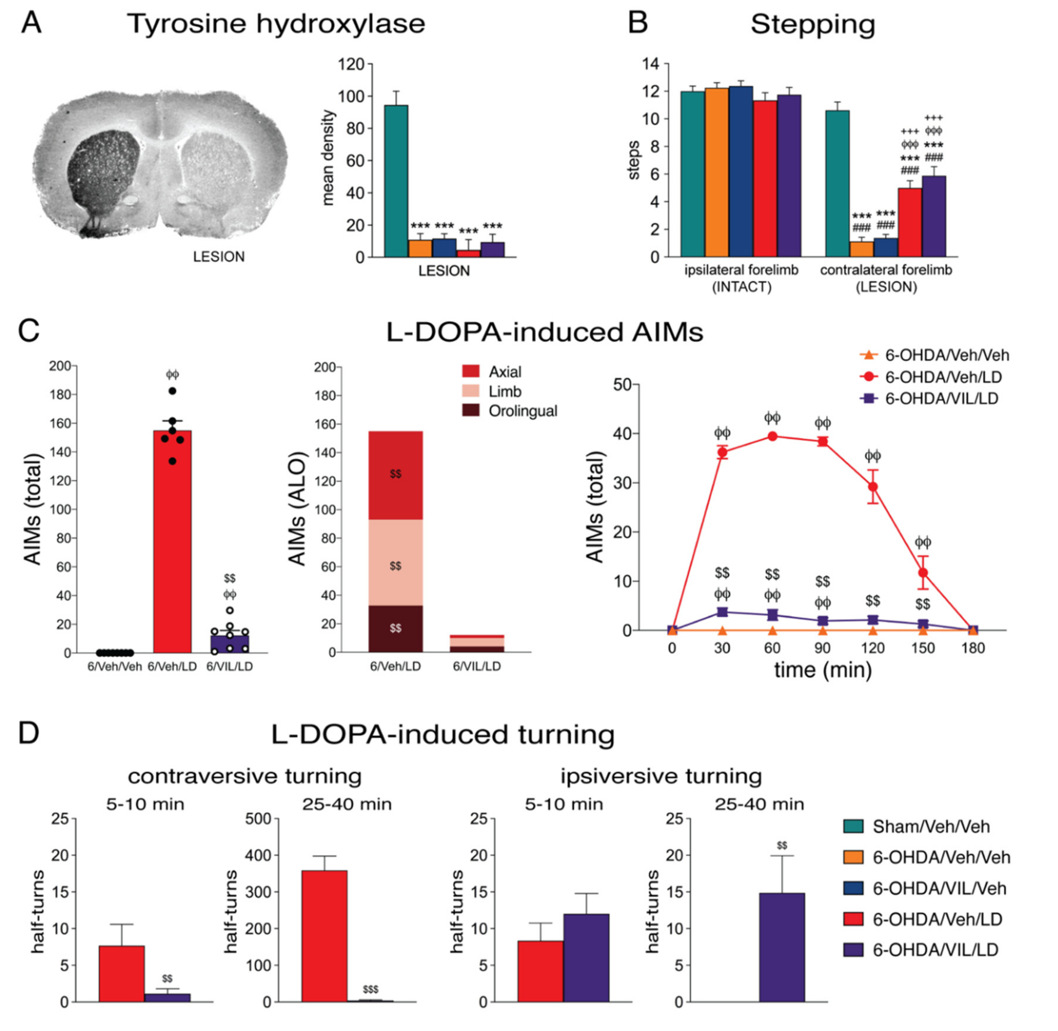 Cells 09 02265 g001 Cells 09 02265 g001