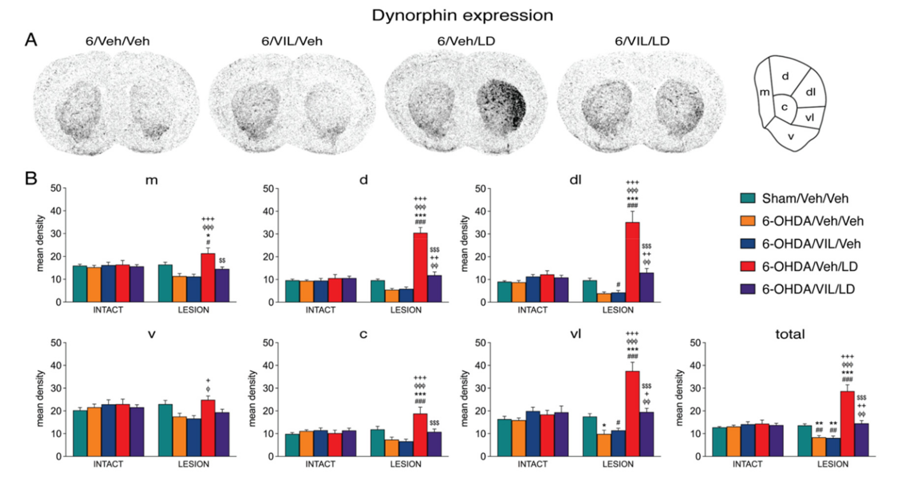 Cells 09 02265 g002 Cells 09 02265 g002
