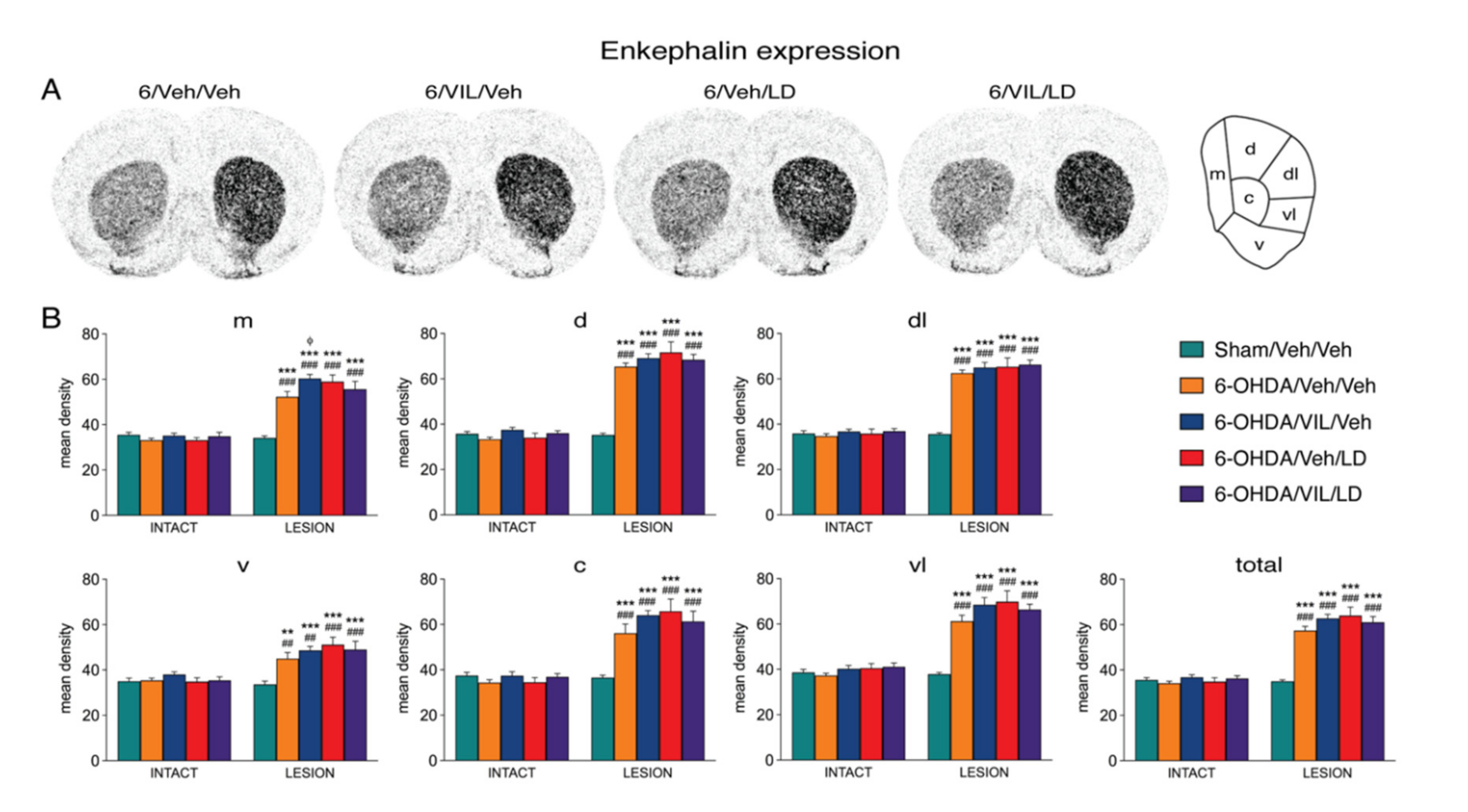 Cells 09 02265 g003 Cells 09 02265 g003