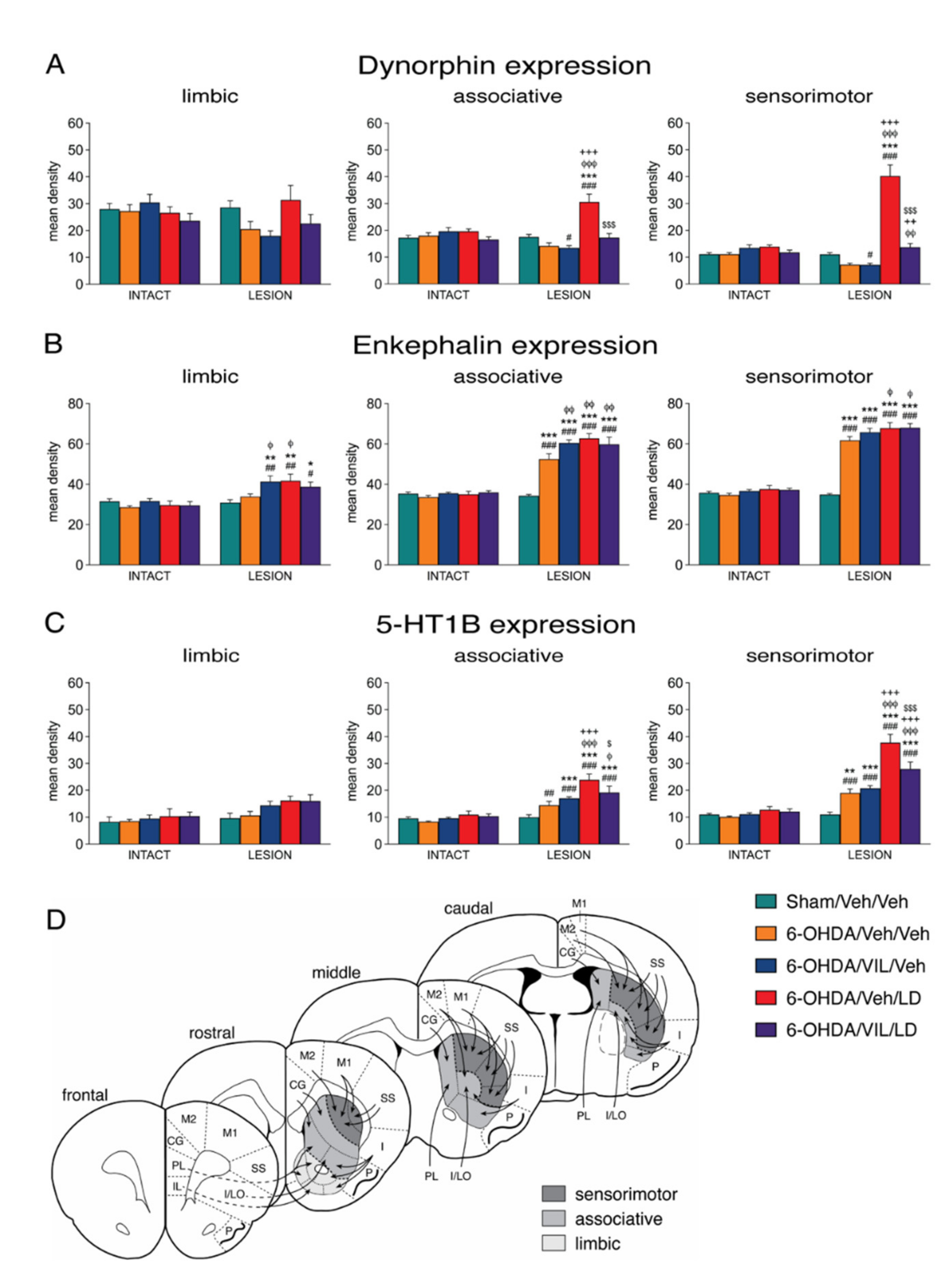Cells 09 02265 g005 Cells 09 02265 g005