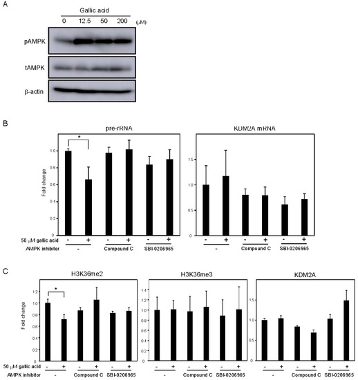 Cells 09 02266 g003 550