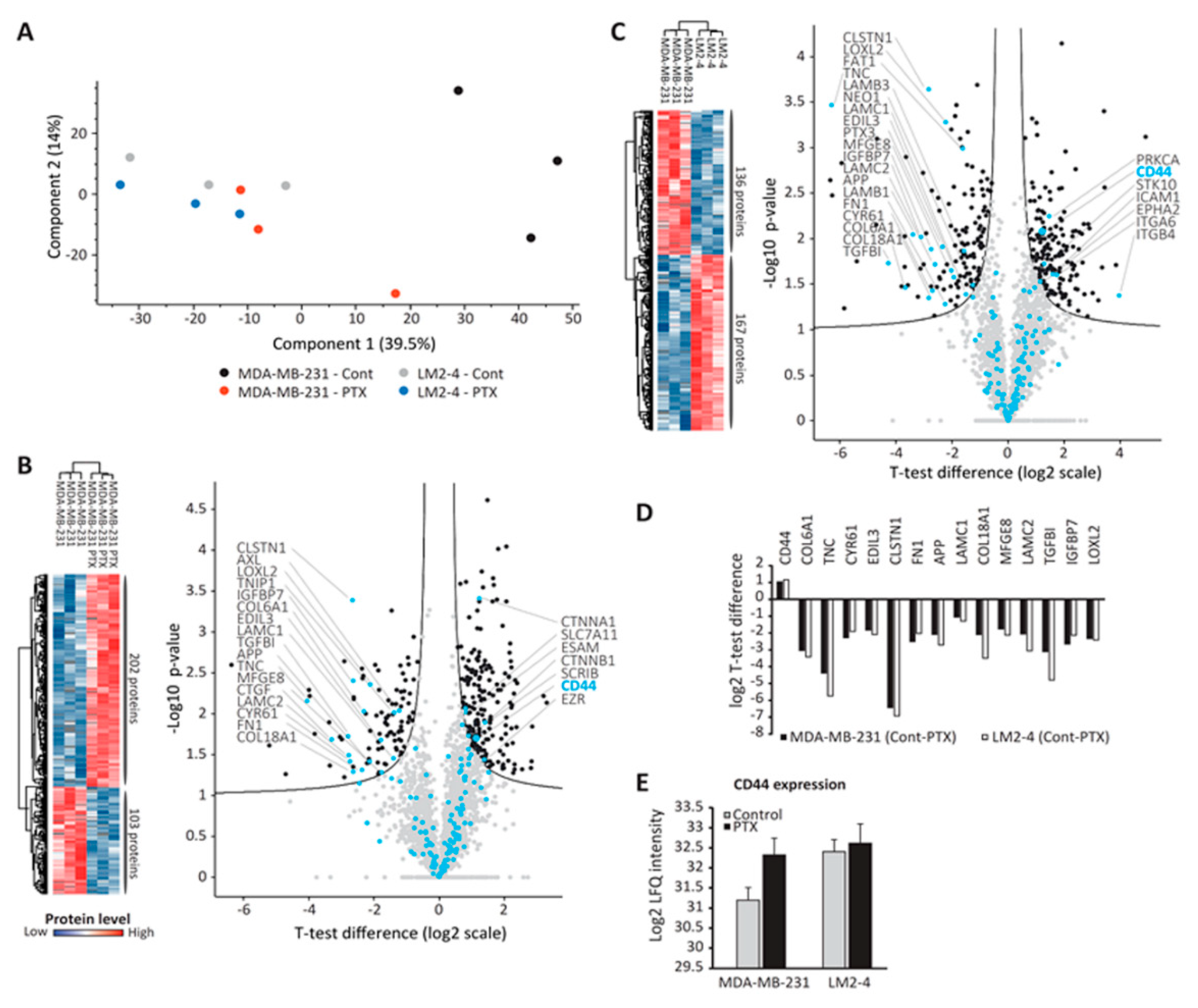 Cells 09 02269 g005 Cells 09 02269 g005
