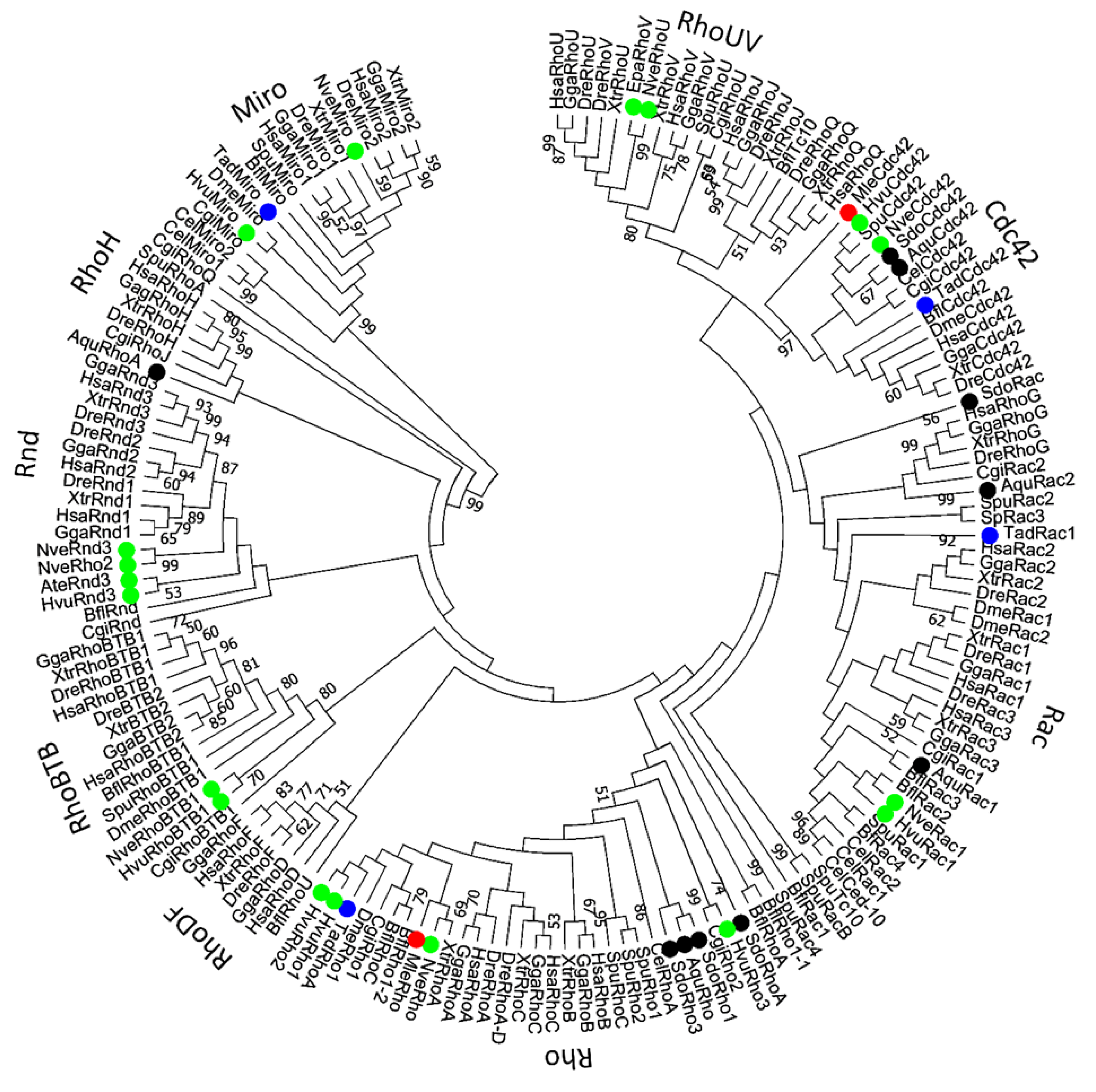 Cells 09 02279 g002 Cells 09 02279 g002