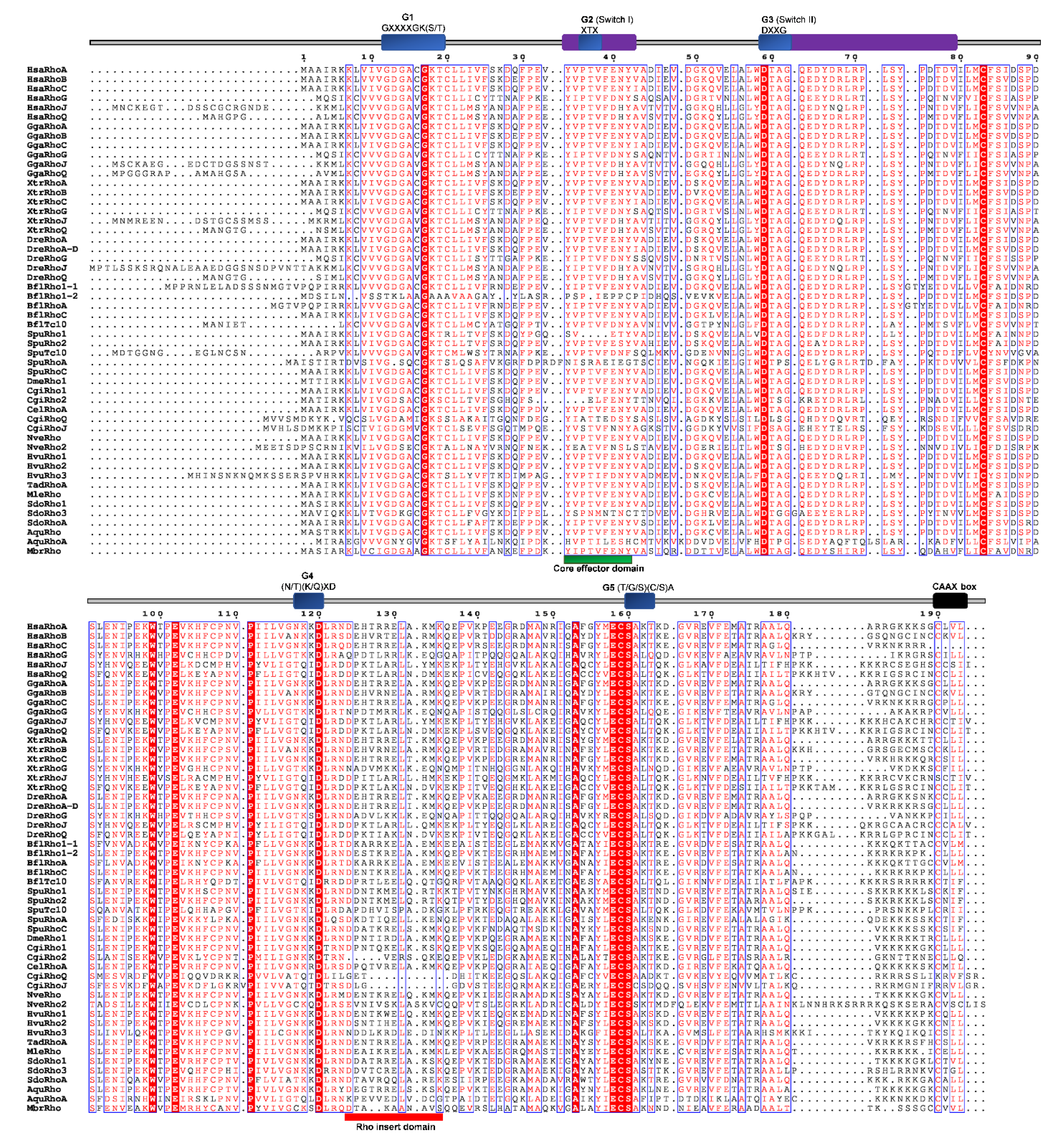 Cells 09 02279 g005 Cells 09 02279 g005