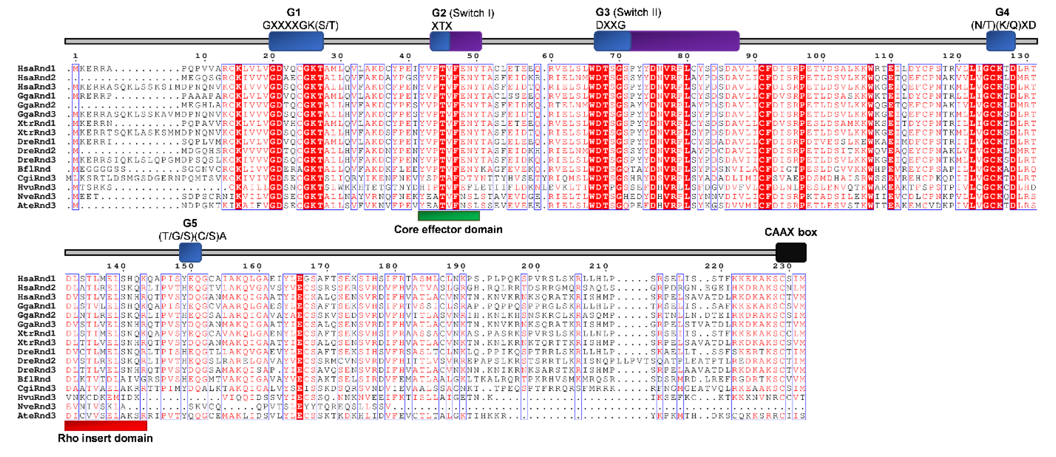 Cells 09 02279 g008 Cells 09 02279 g008