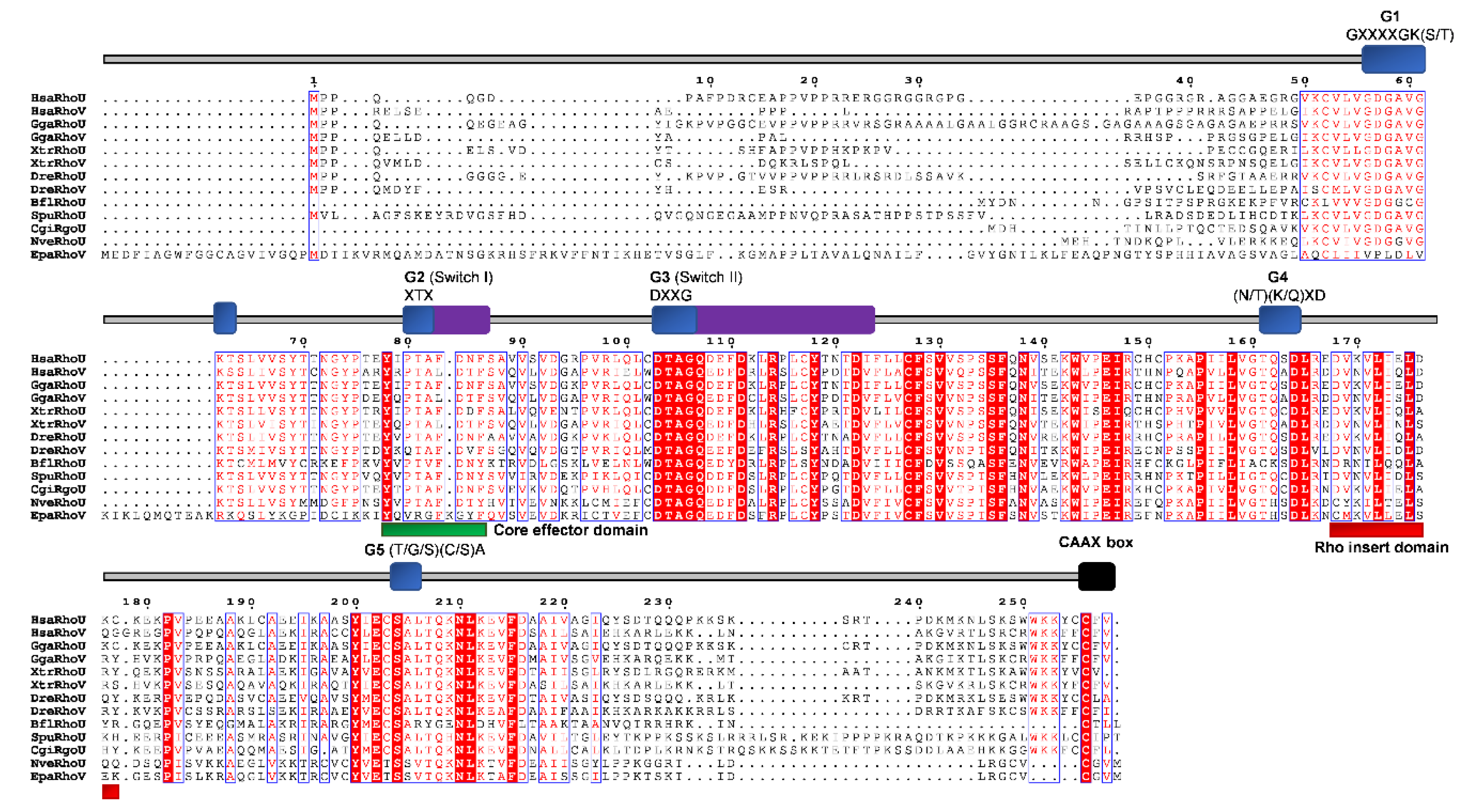 Cells 09 02279 g009 Cells 09 02279 g009