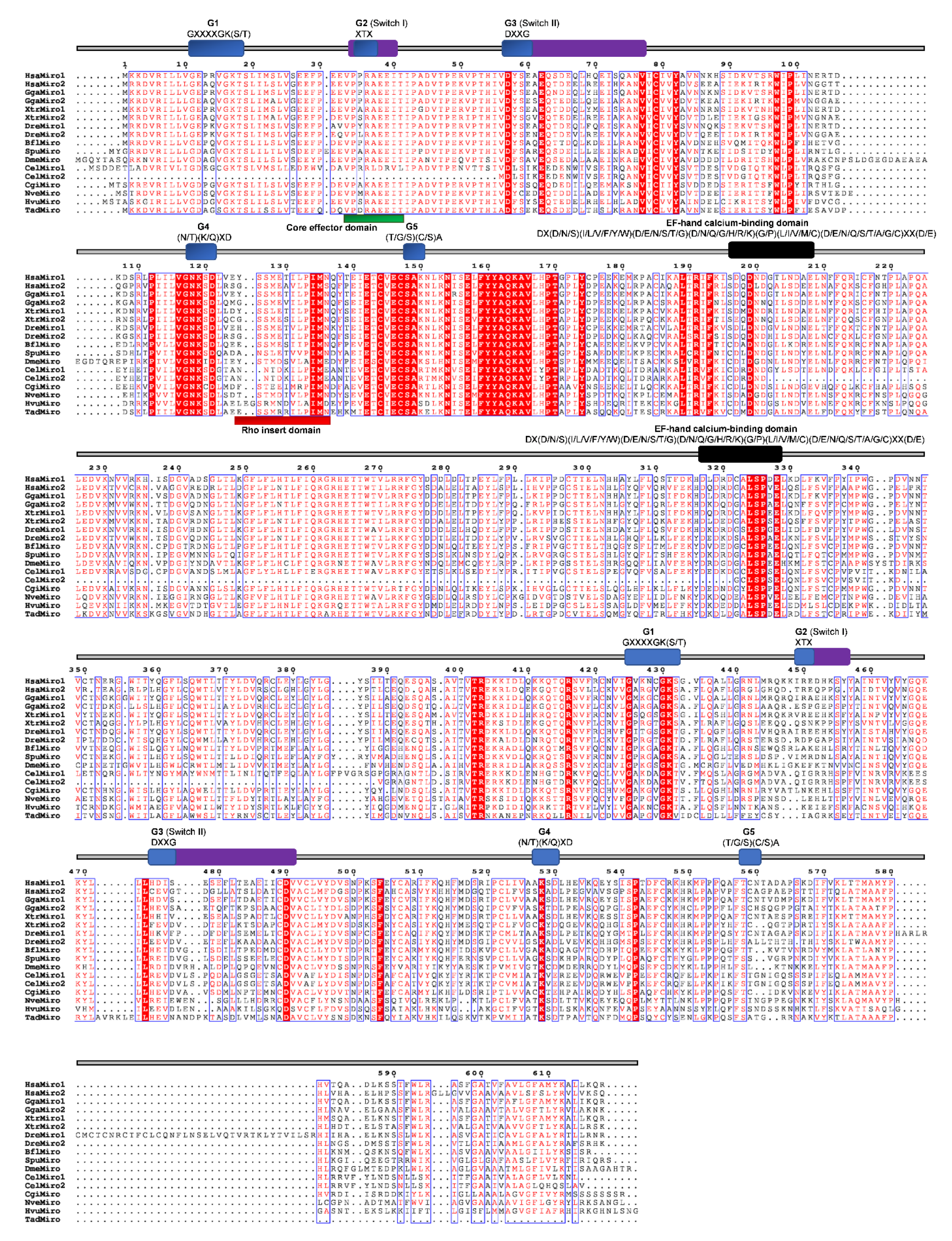 Cells 09 02279 g011 Cells 09 02279 g011
