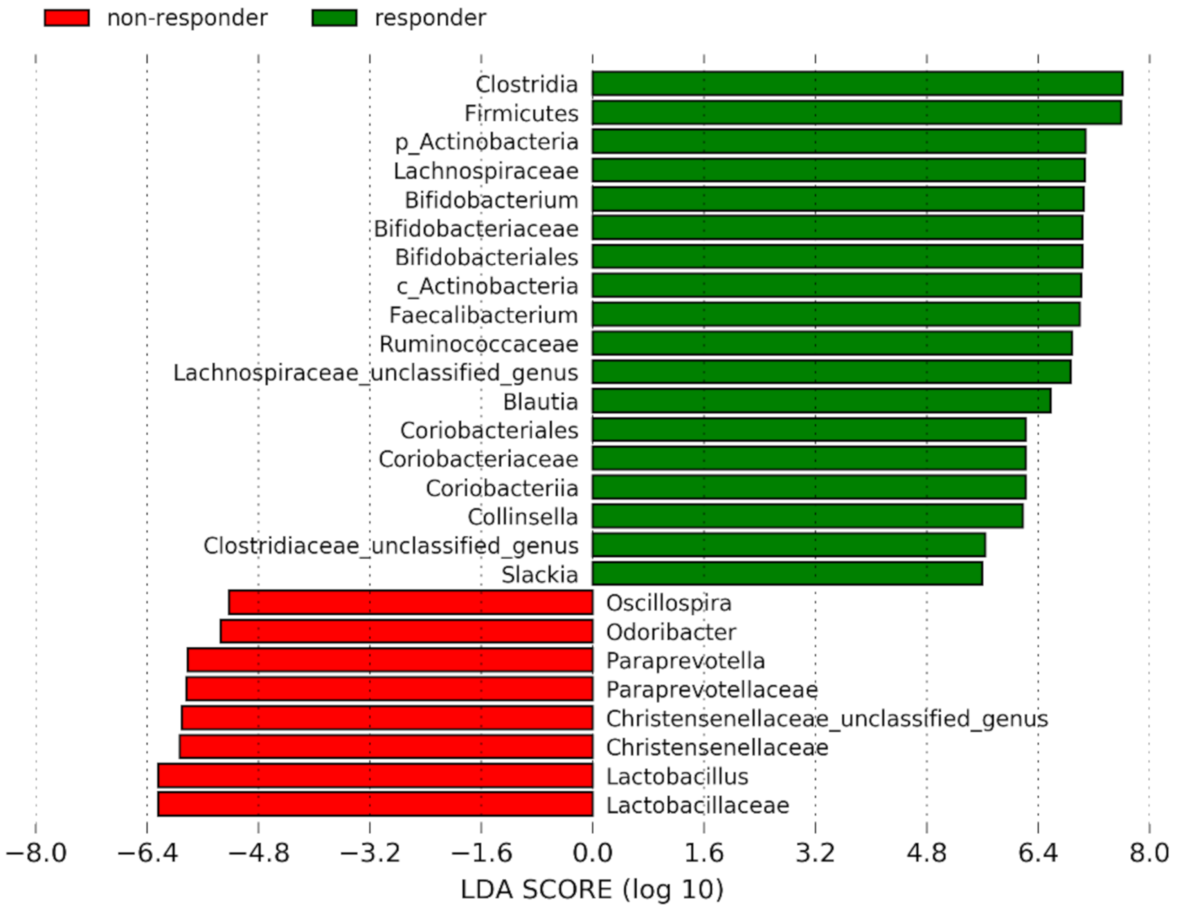 Cells 09 02283 g004 Cells 09 02283 g004