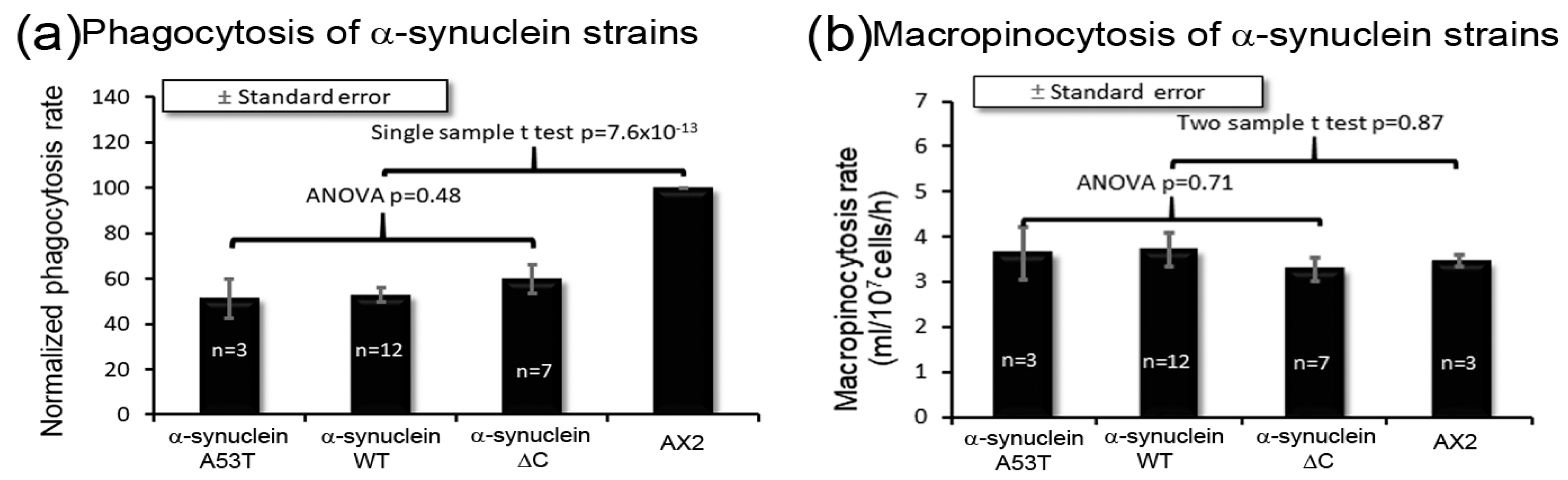Cells 09 02289 g006 Cells 09 02289 g006