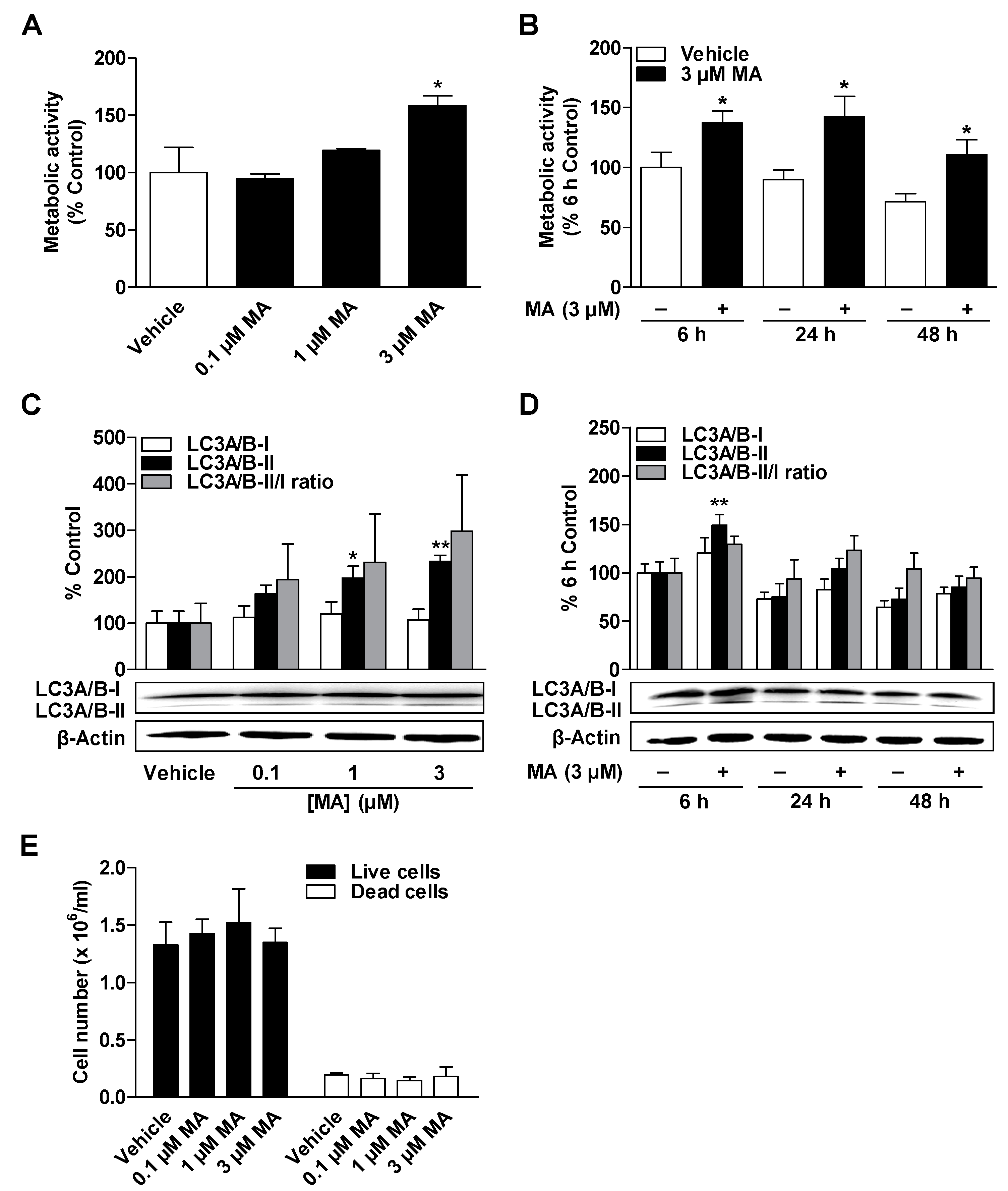 Cells 09 02298 g003 Cells 09 02298 g003