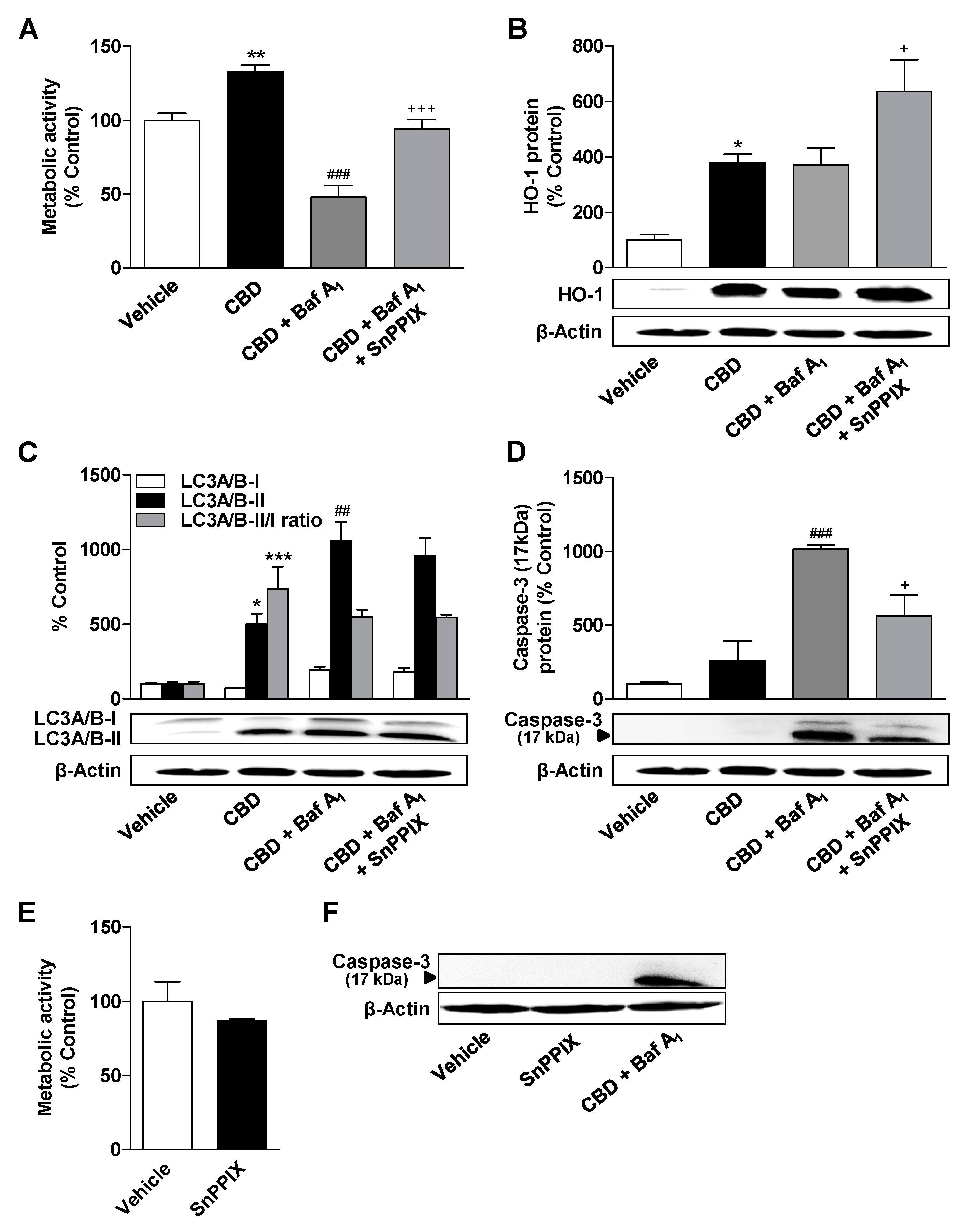 Cells 09 02298 g007
