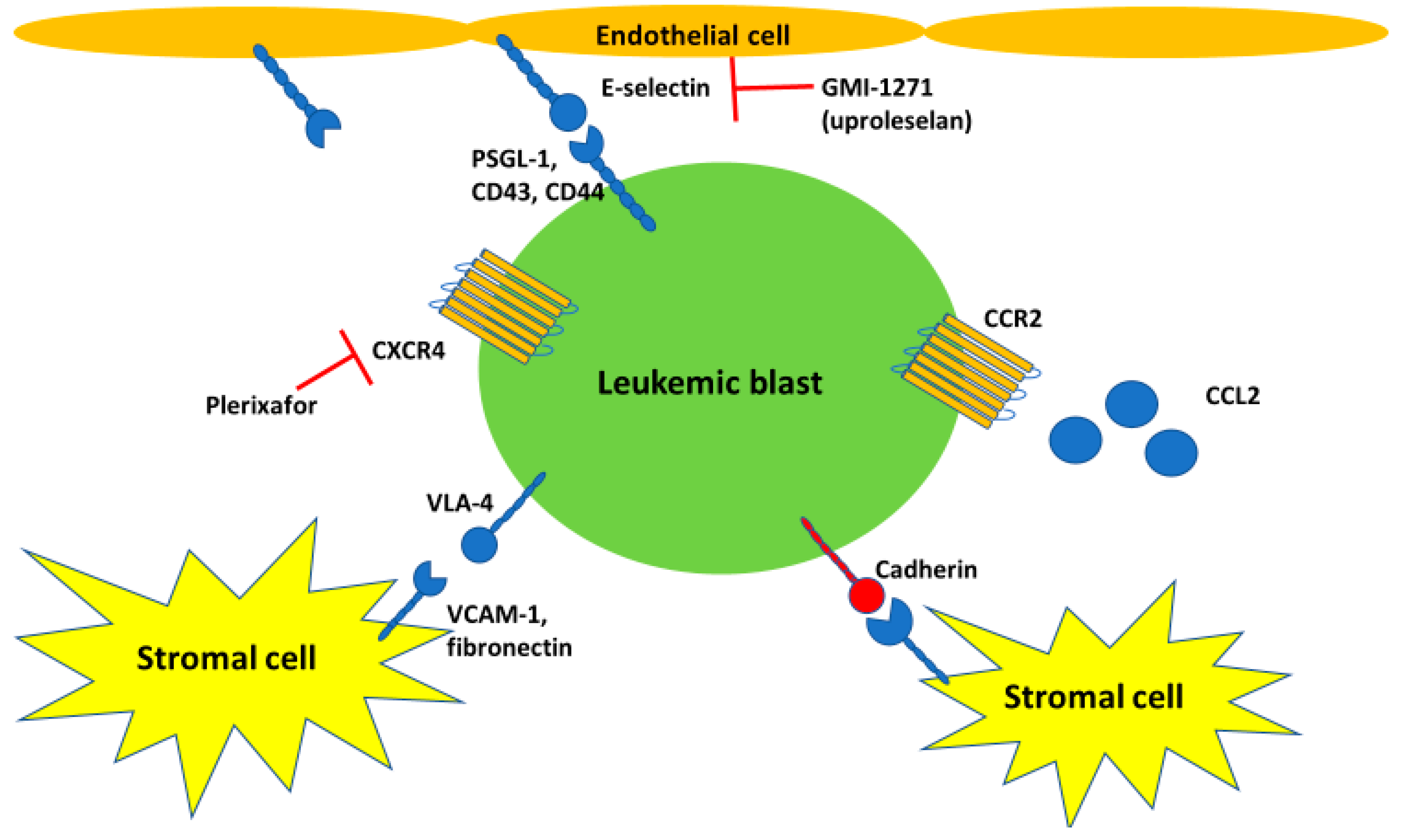 Cells 09 02310 g002 Cells 09 02310 g002