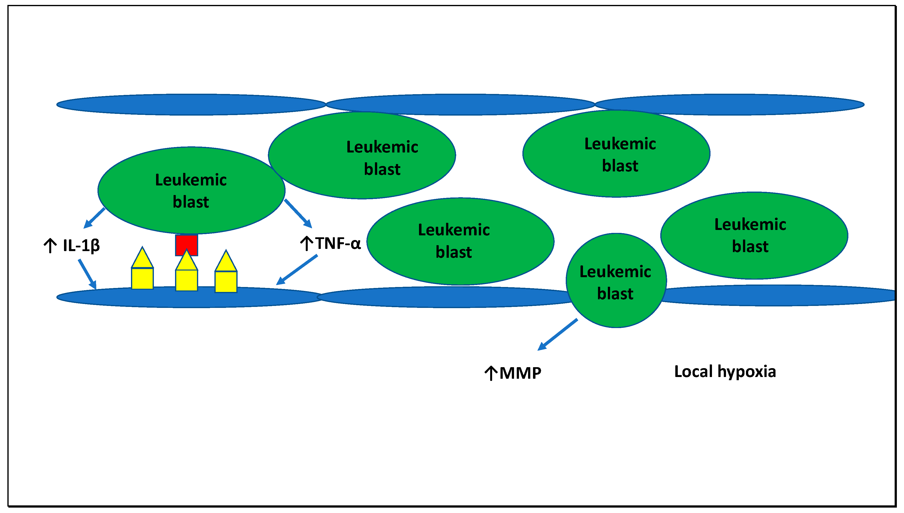 Cells 09 02310 g003 Cells 09 02310 g003
