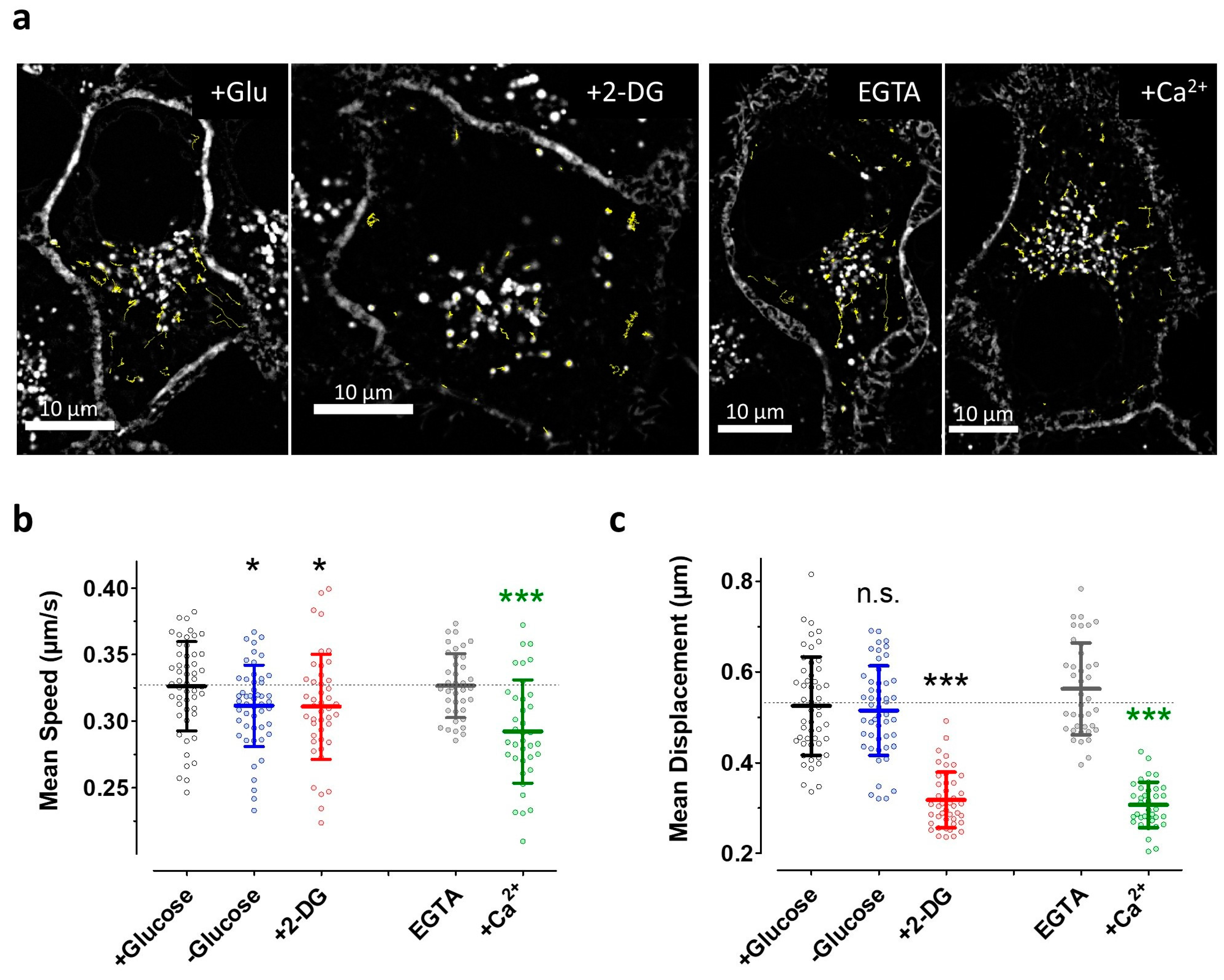 Cells 09 02311 g007