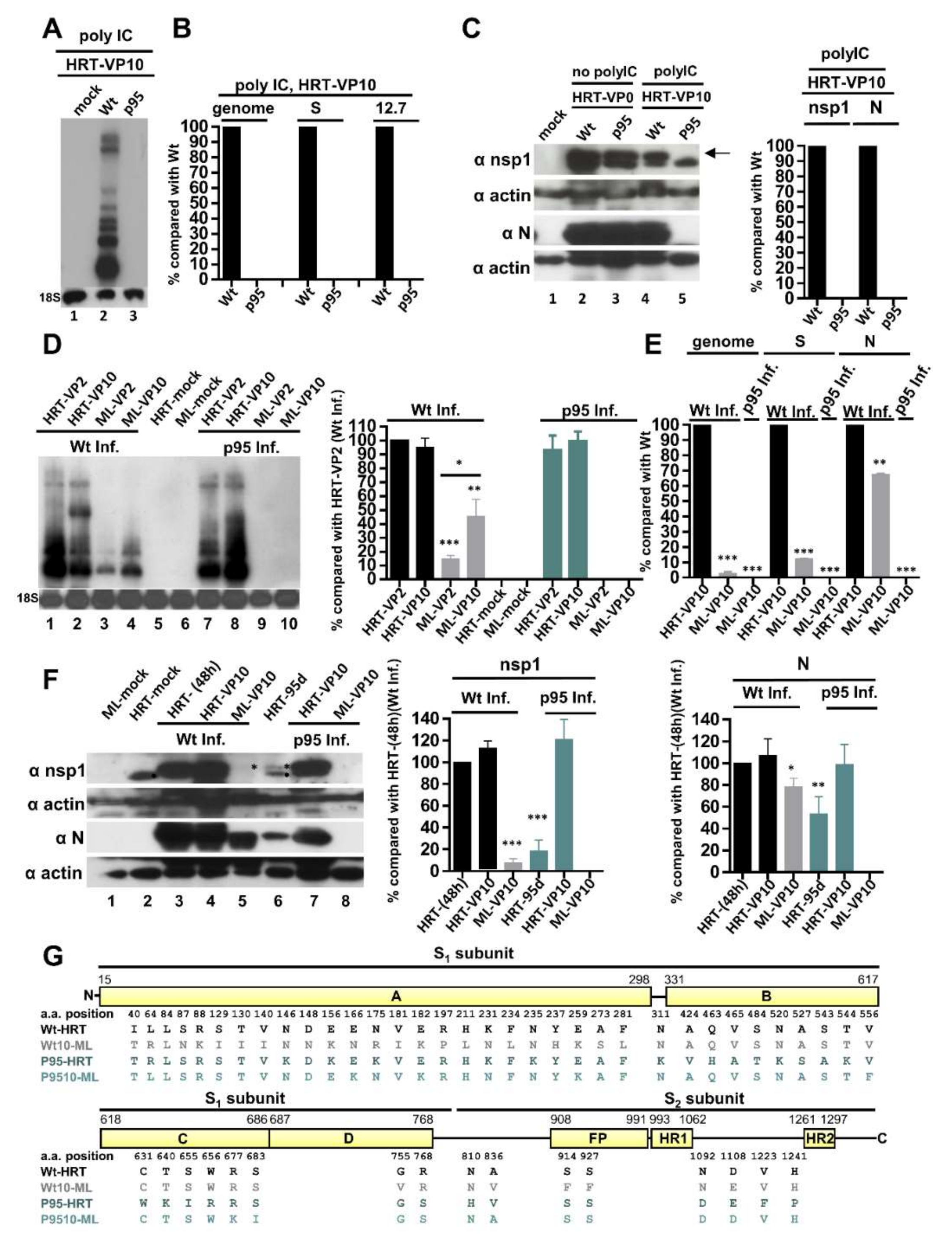 Cells 09 02322 g005 Cells 09 02322 g005