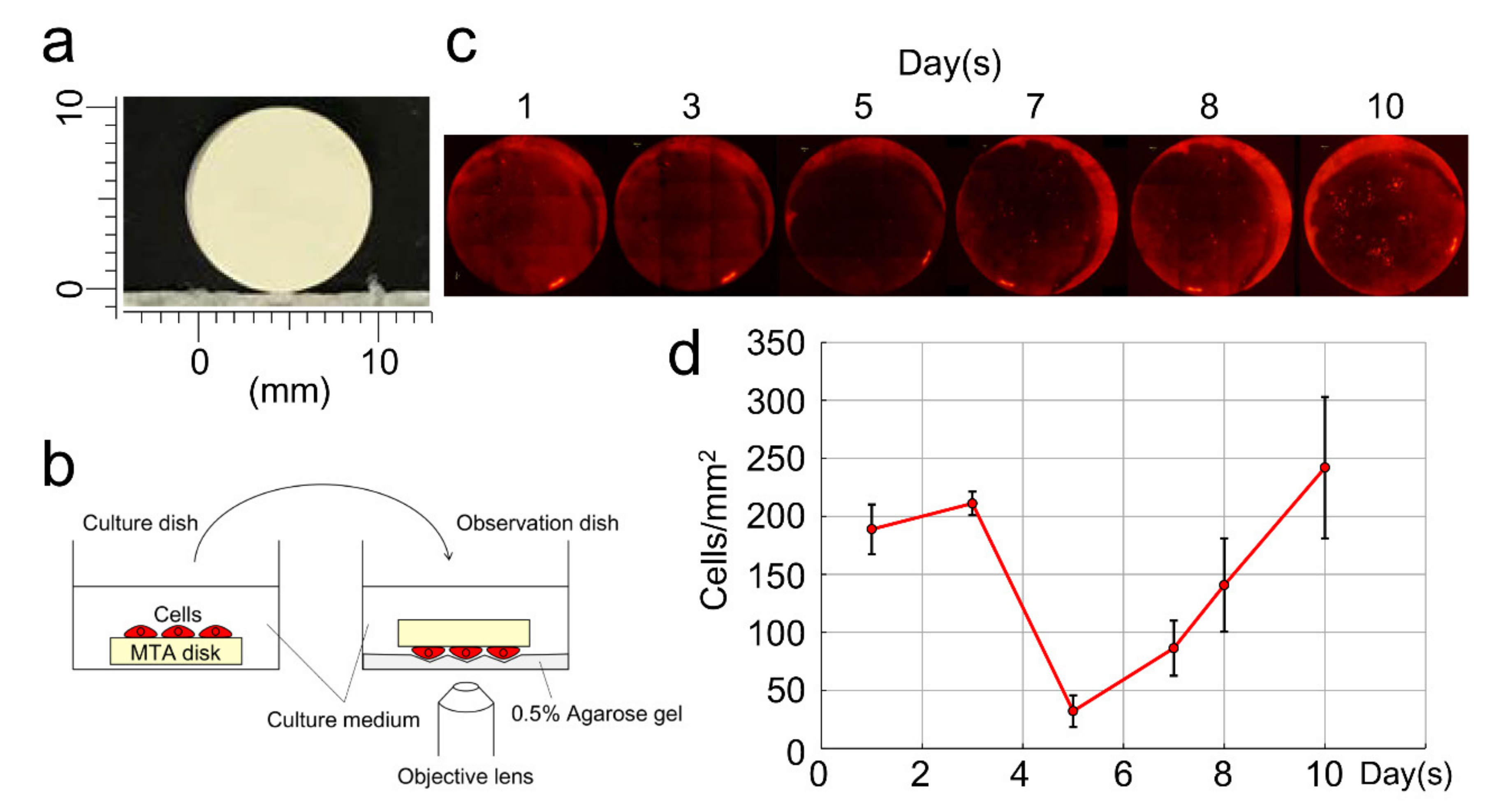 Cells 09 02336 g002 Cells 09 02336 g002