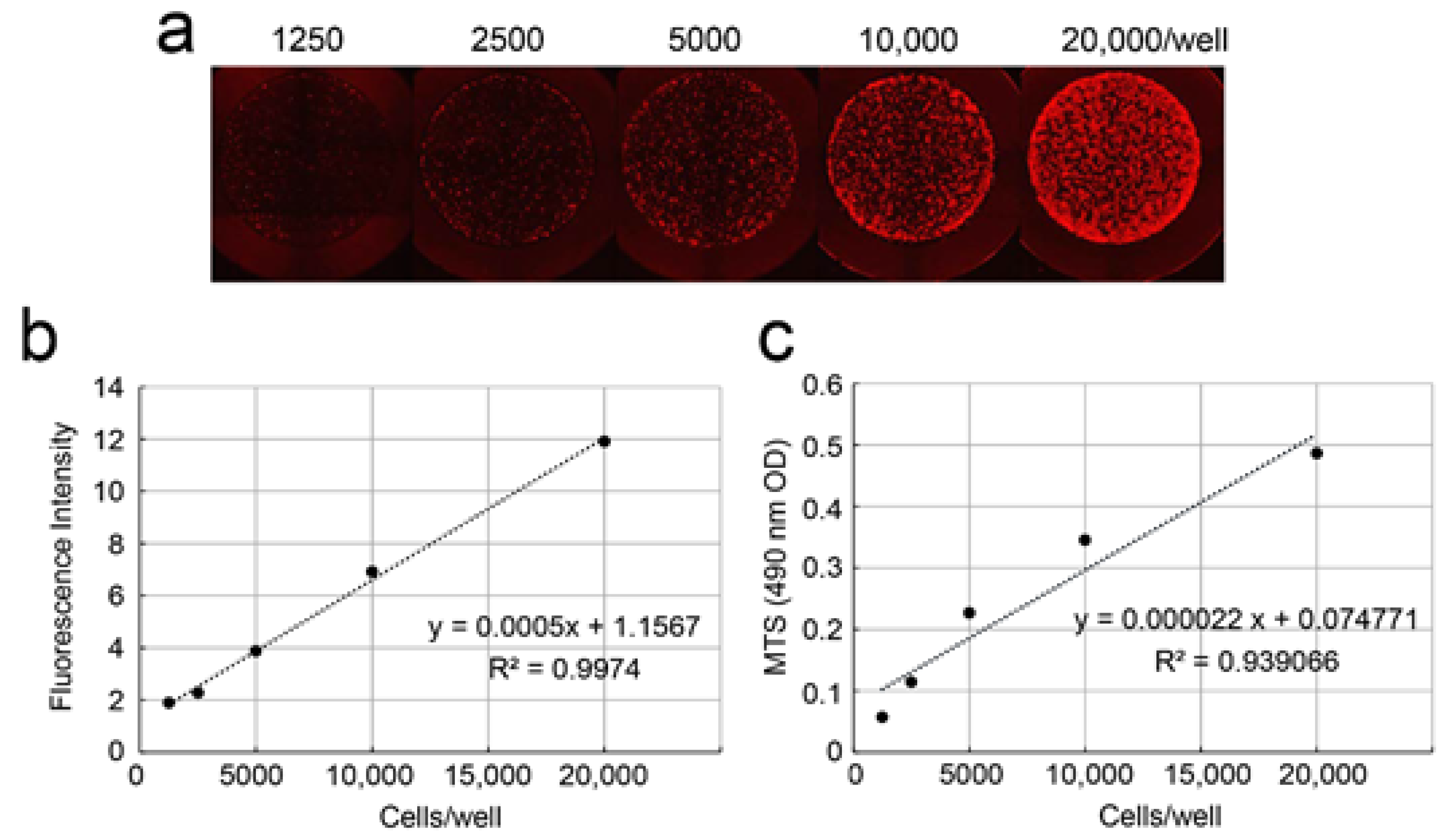 Cells 09 02336 g003 Cells 09 02336 g003