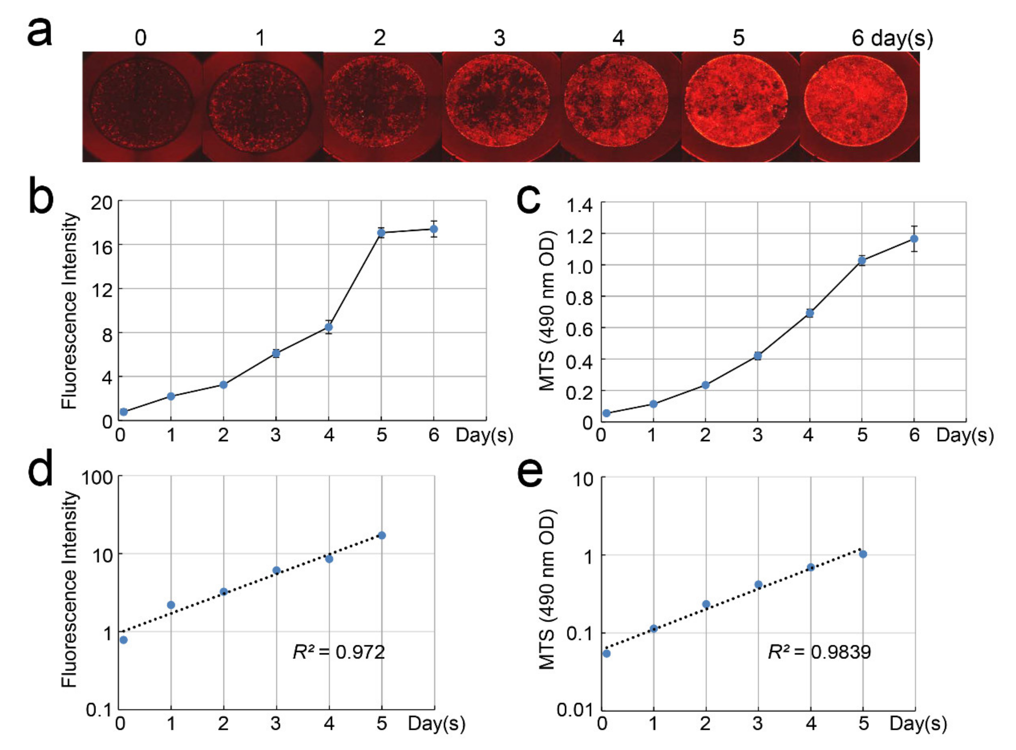 Cells 09 02336 g004 Cells 09 02336 g004