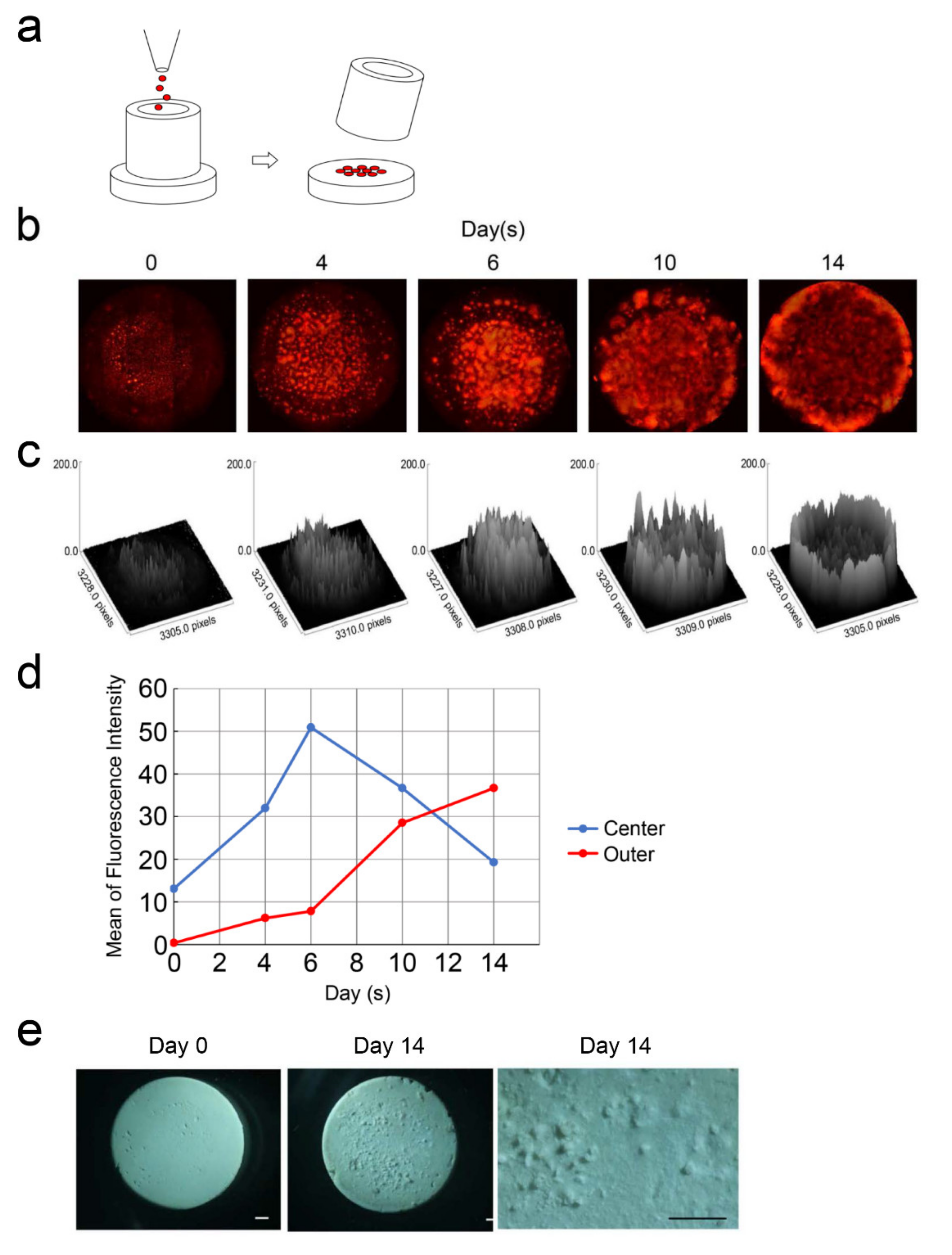 Cells 09 02336 g005 Cells 09 02336 g005